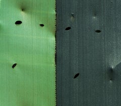 Birdie. From The Lavori in Corso series
