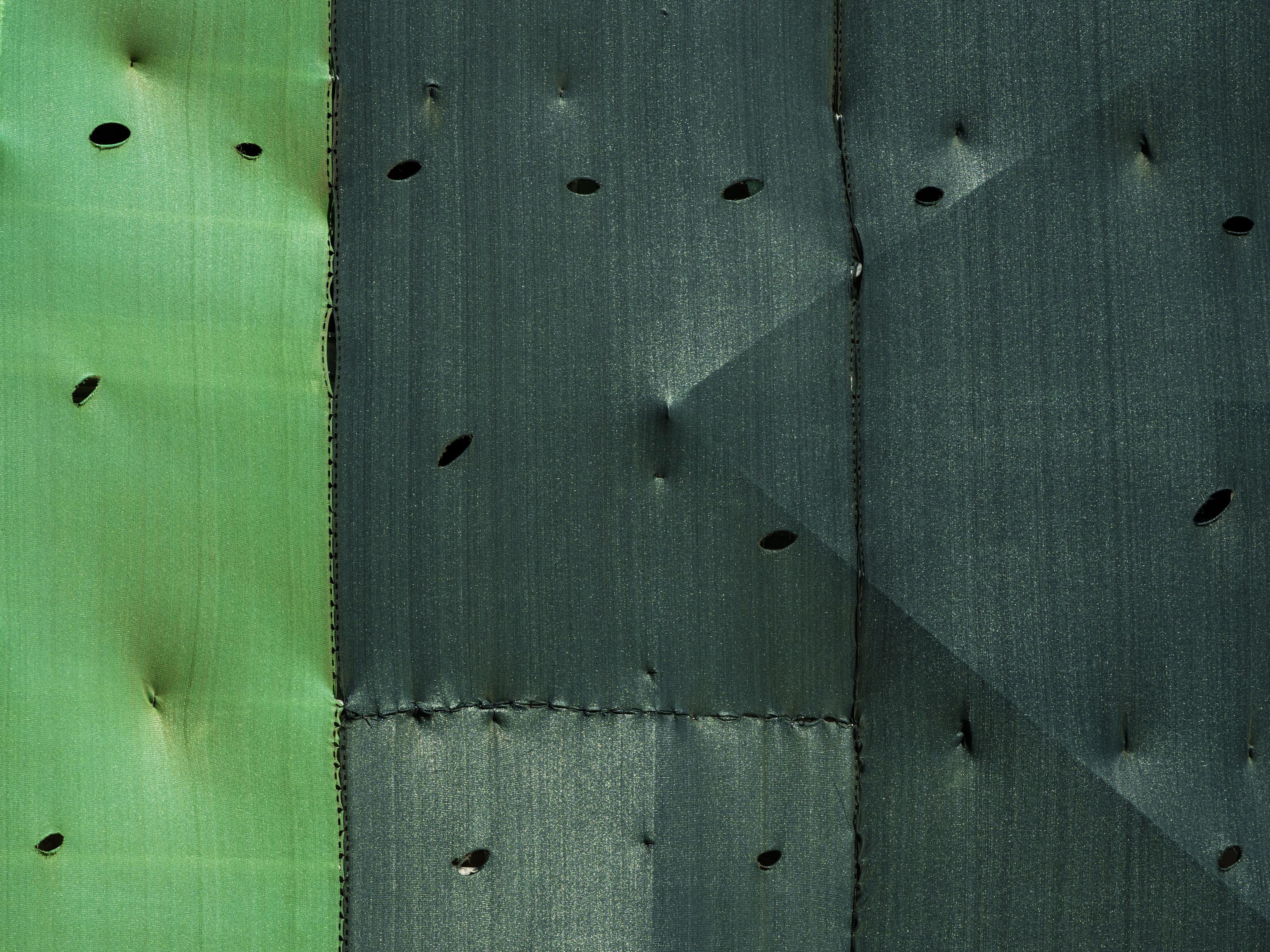 Eduardo Rezende Color Photograph – Vögelchen. Aus der Reihe "Lavori in Corso