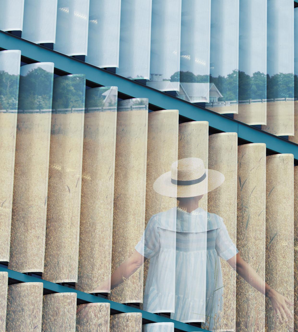 Field. From The Billboard series - Photograph by Eduardo Rezende