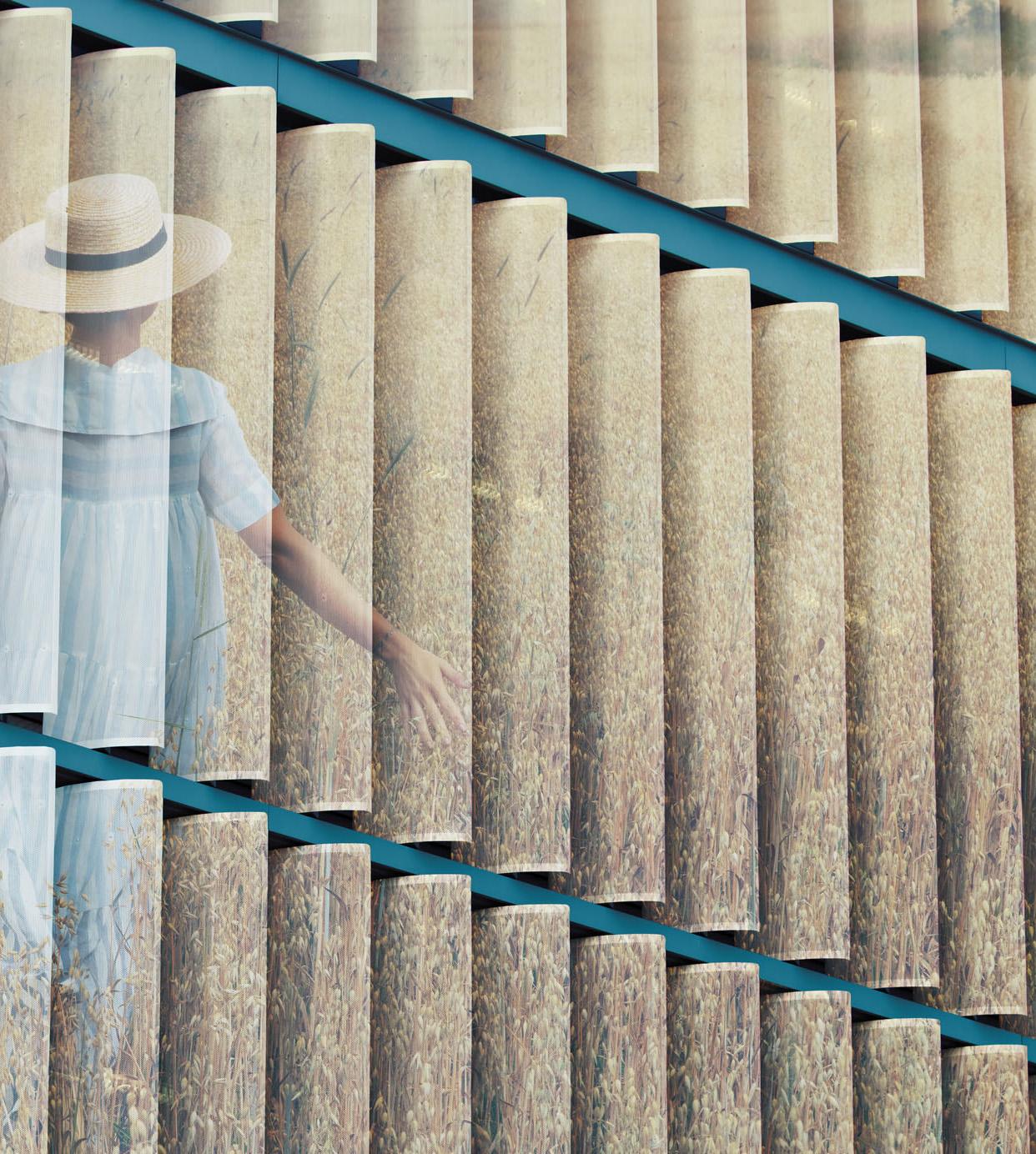 Field. From The Billboard series - Modern Photograph by Eduardo Rezende