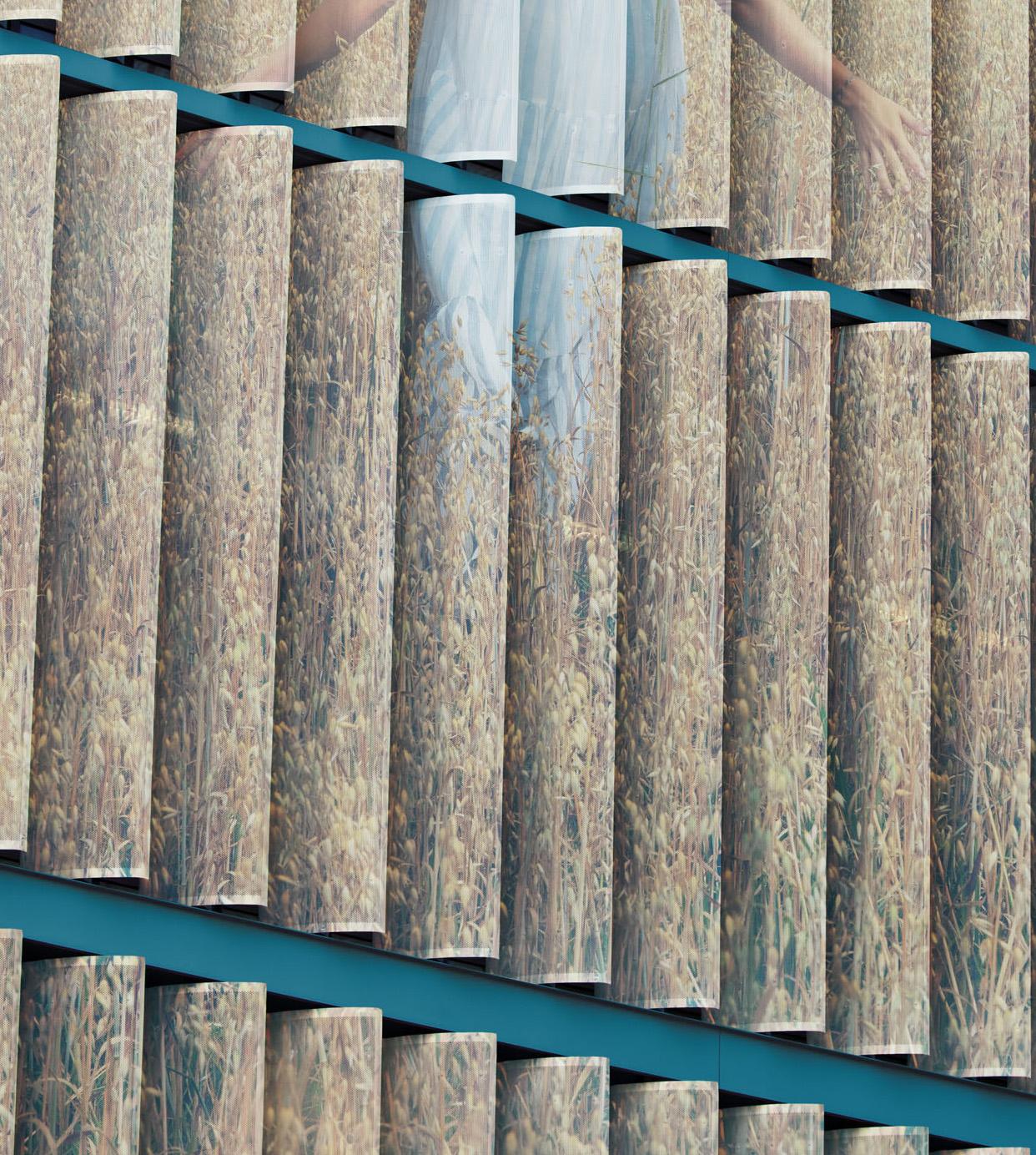 Field. From The Billboard series - Gray Figurative Photograph by Eduardo Rezende