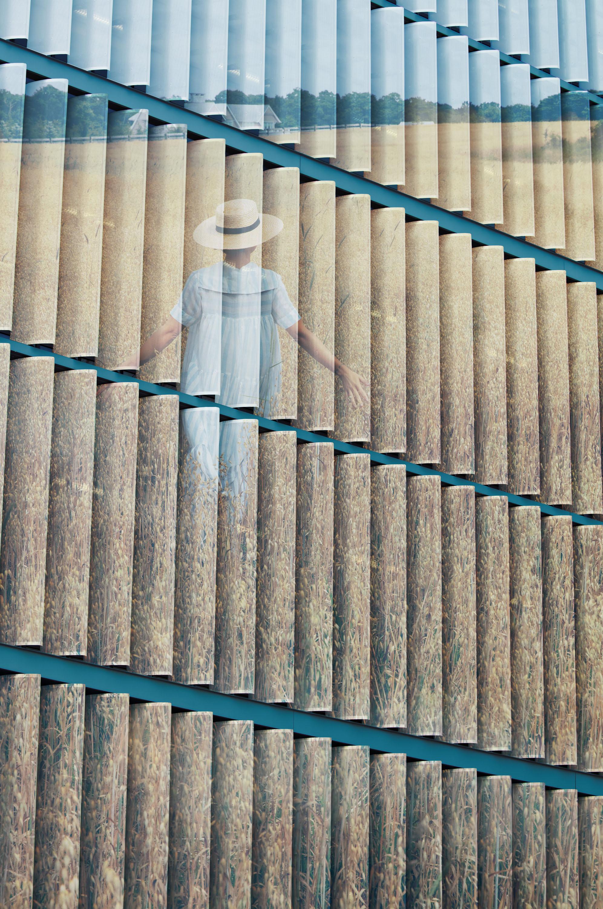 Field. From The Billboard series