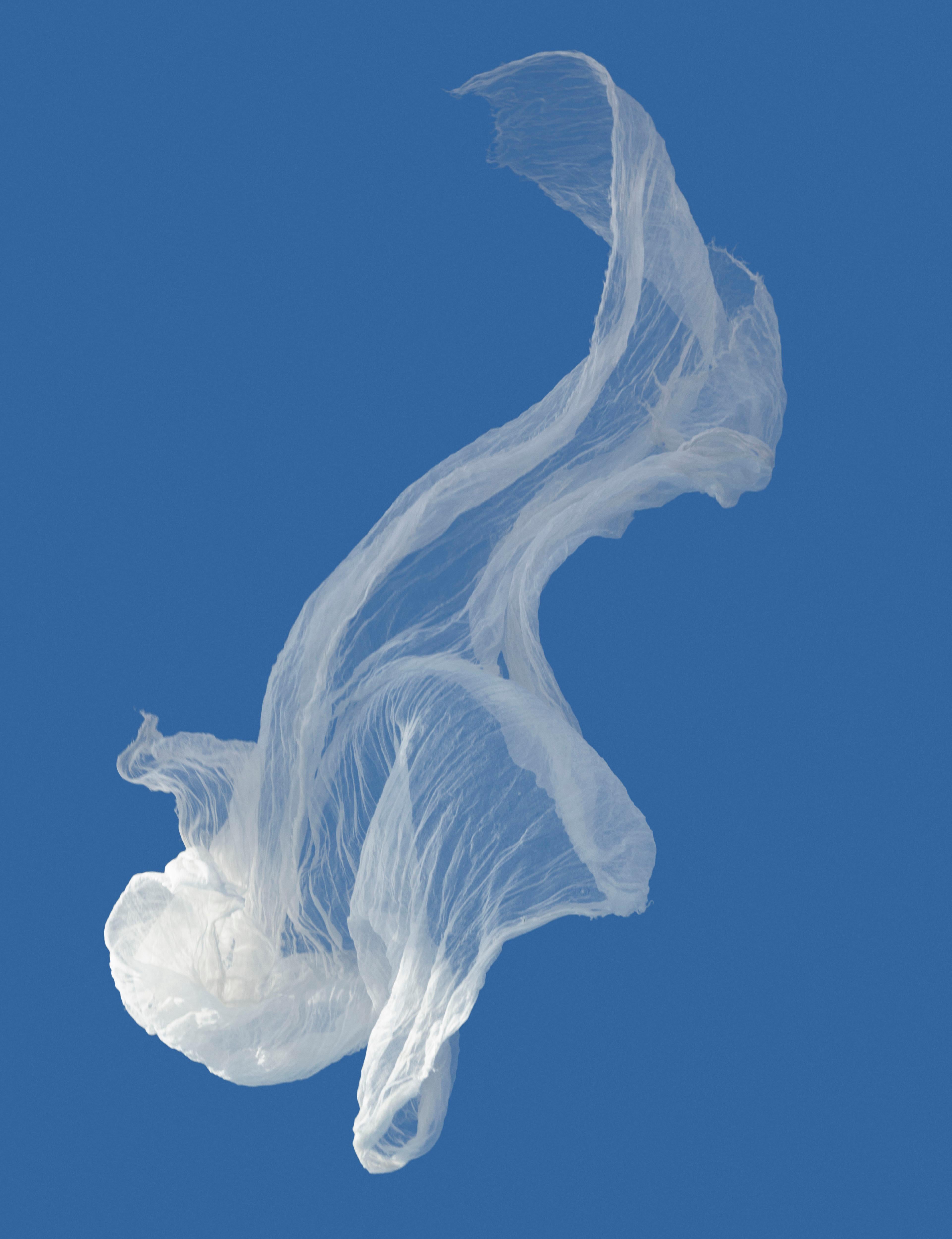 Eduardo Rezende Color Photograph - Jellyfish, Limited Edition, 2019