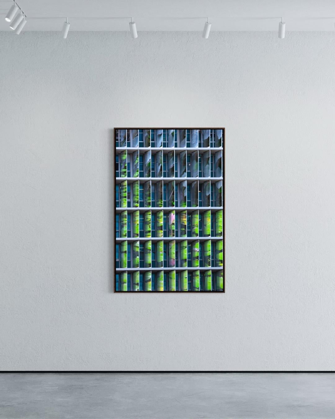 Photosyntesis, Edition of 05 + 01 AP - Photograph by Eduardo Rezende