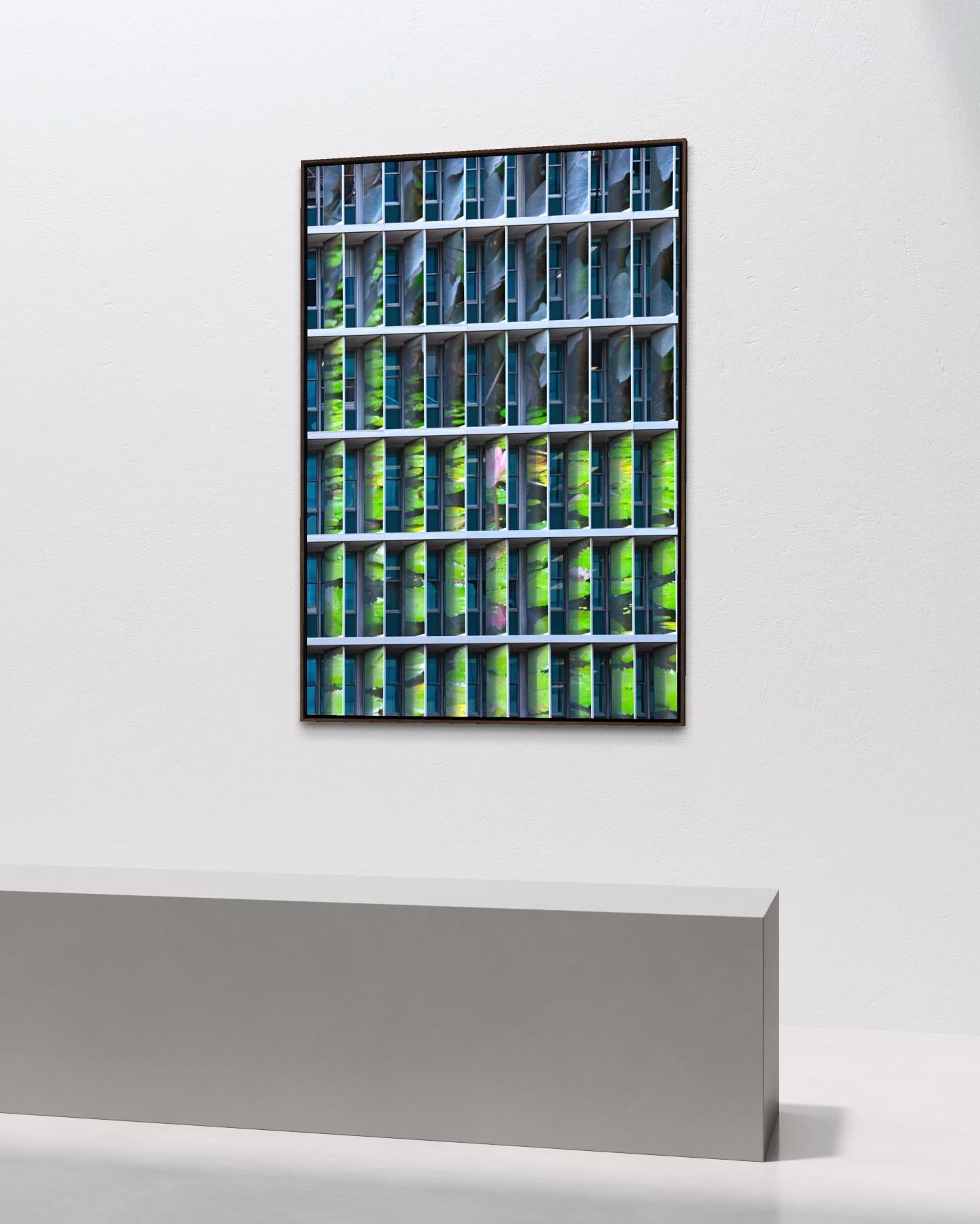 Photosyntesis, Edition of 05 + 01 AP For Sale 3