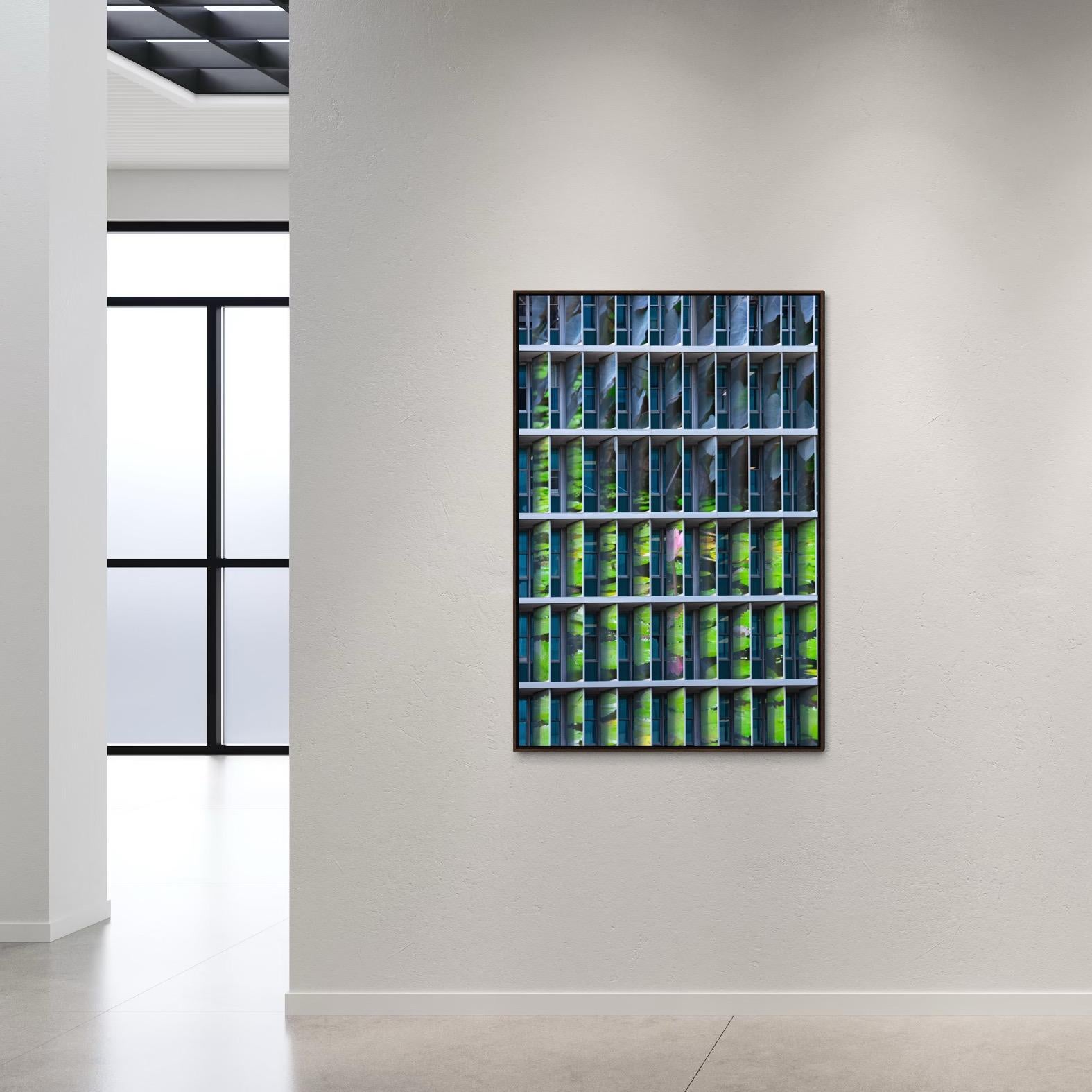Photosyntesis, Edition of 05 + 01 AP For Sale 4