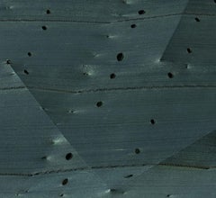 Maree. Dalla serie Lavori in Corso