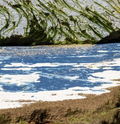 Van Gogh. From The Janela do Tempo series