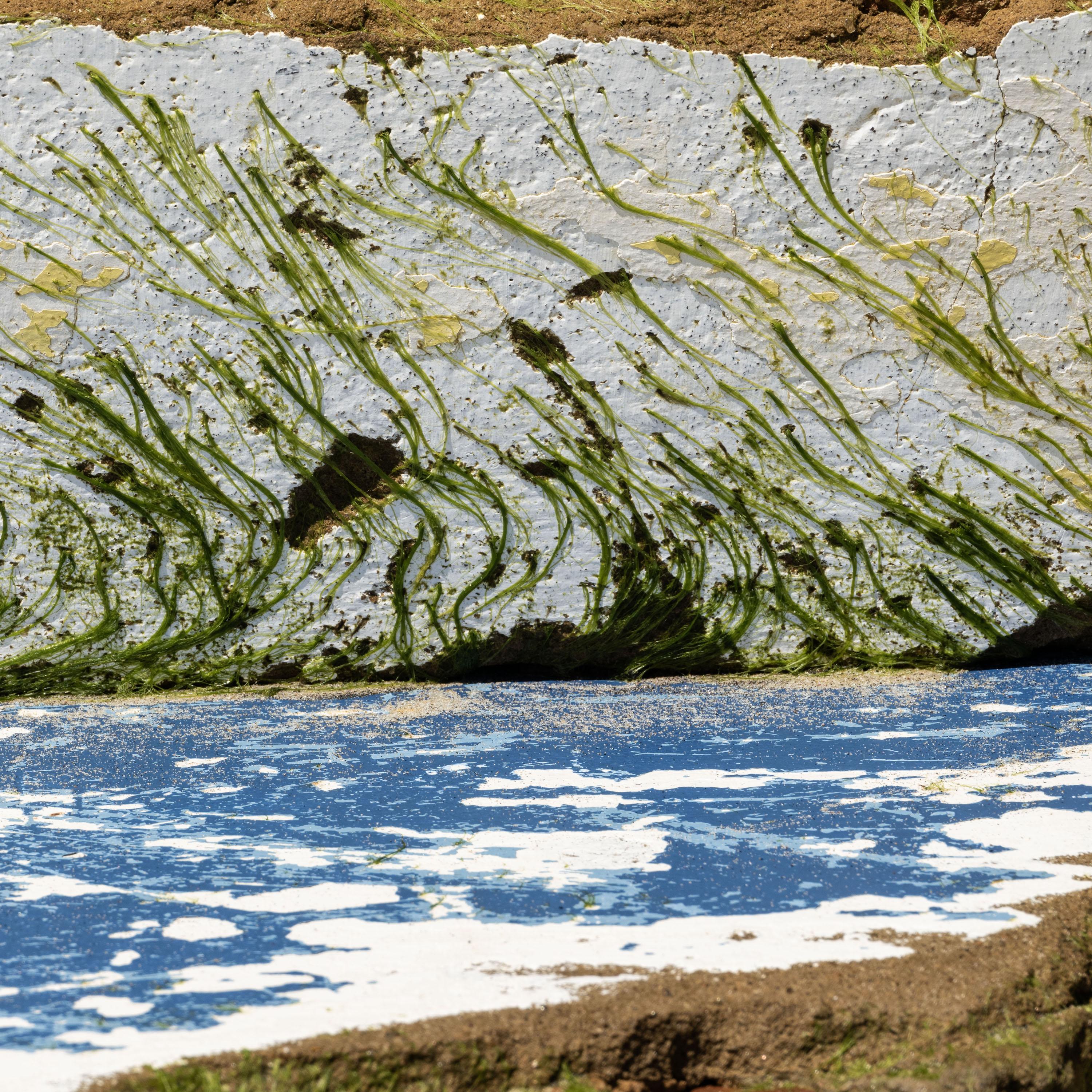 Landscape Photograph di Eduardo Rezende - Van Gogh. Dalla serie Janela do Tempo