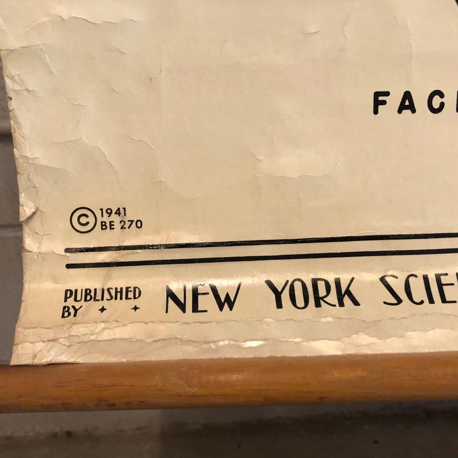 Erziehungstafel „Blumen und Saat“ von New York Scientific Supply Co. (20. Jahrhundert) im Angebot
