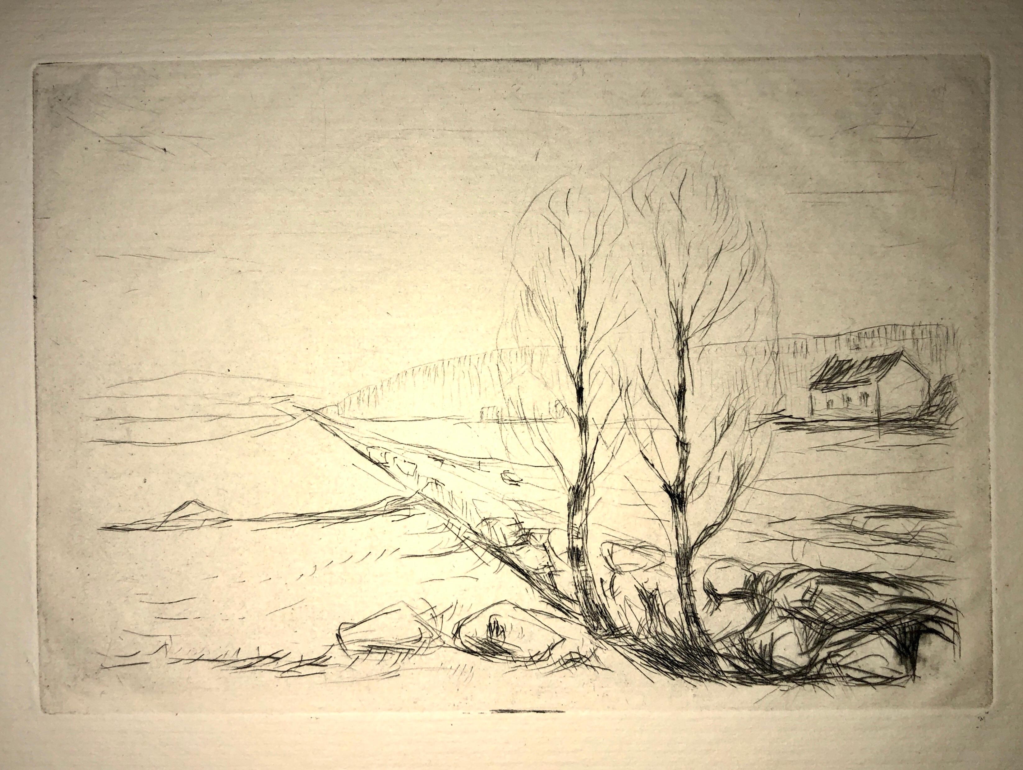 Edvard Munch, Norwegische Landschaft, Norwegian Landscape Drypoint Etching  2