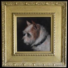 Un terrier bianco e marrone; e un terrier bianco e marrone chiaro.