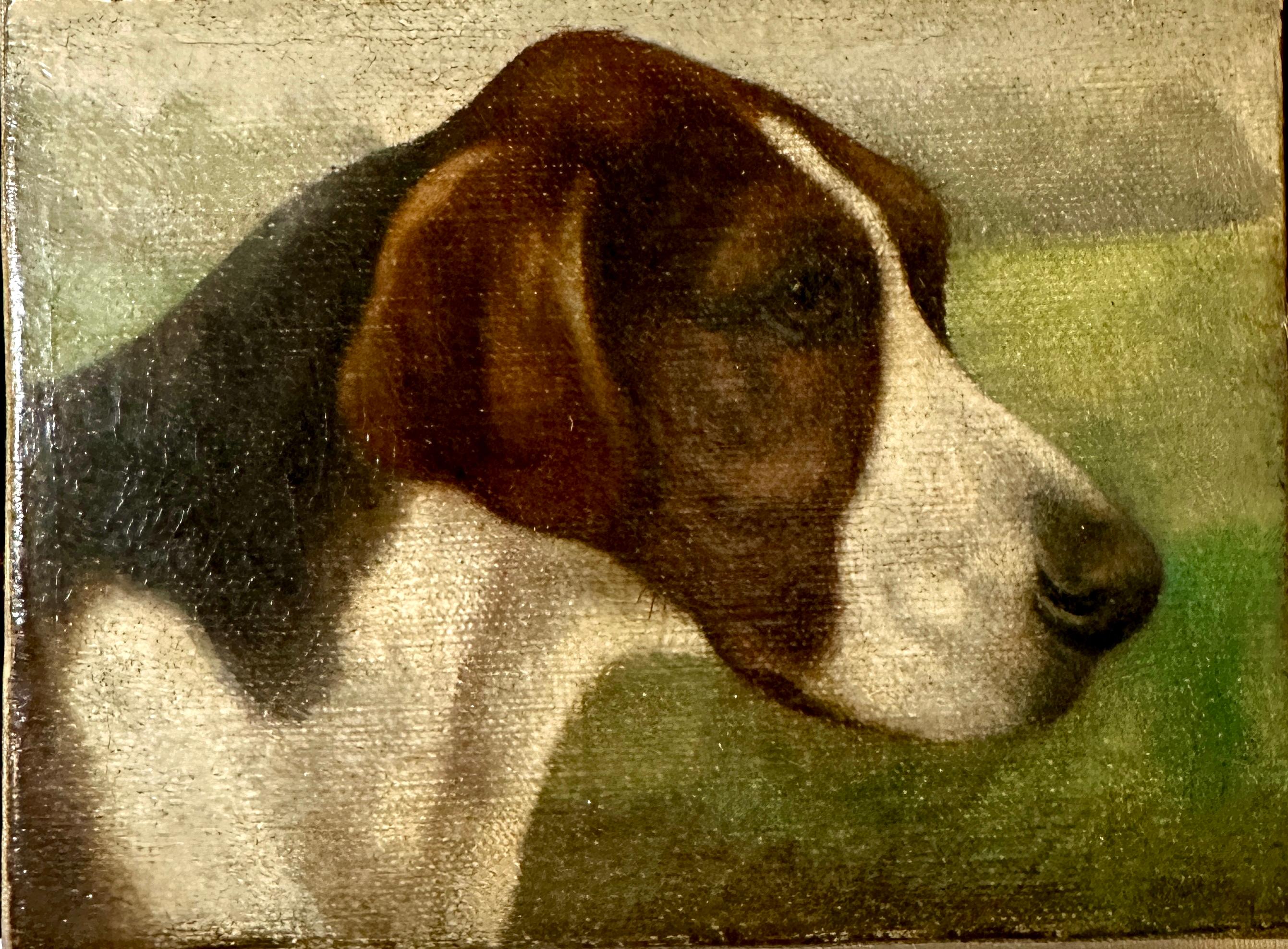 english painter dog