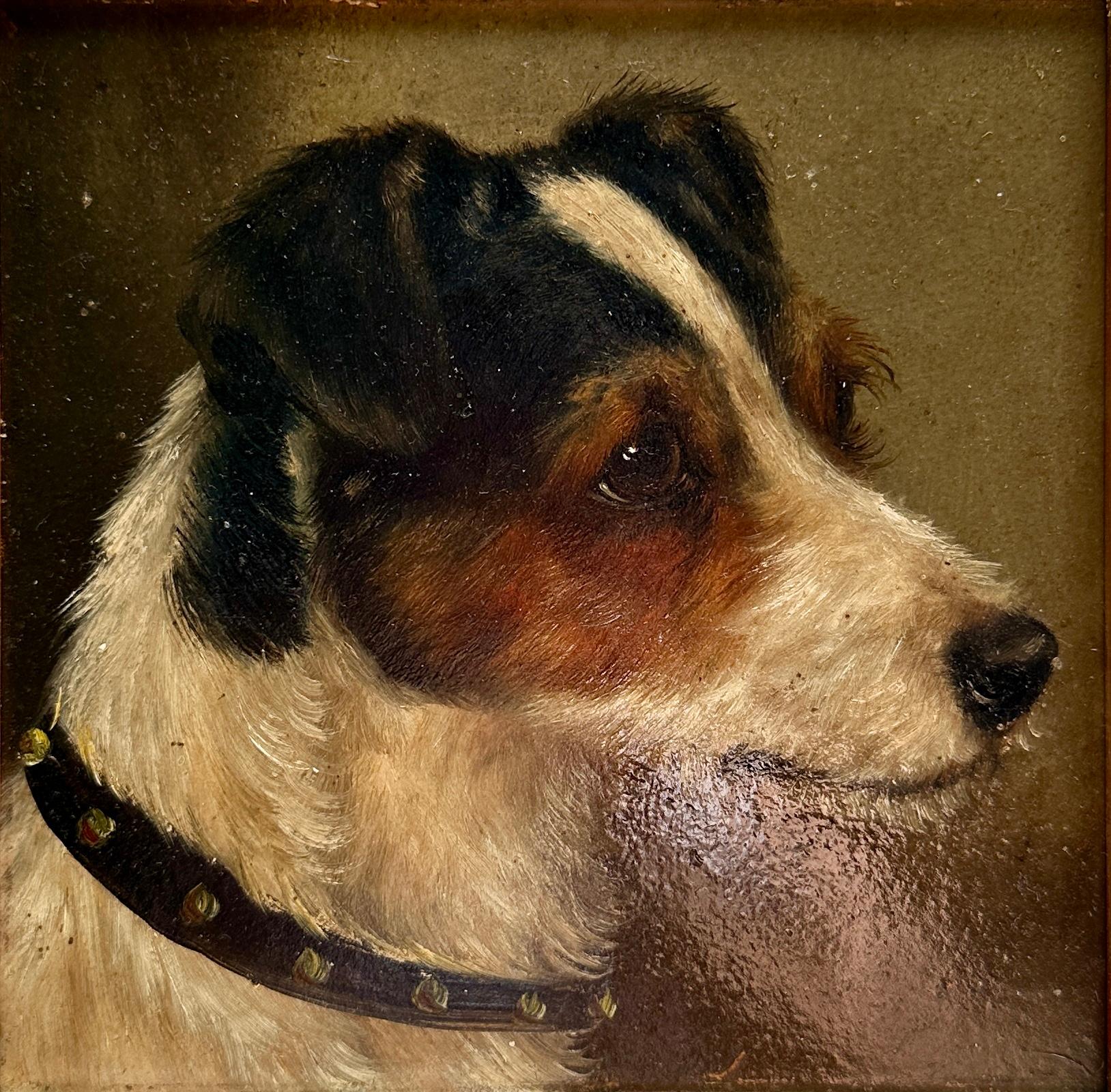 Antico ritratto ad olio inglese vittoriano di un cane Jack Russell - Painting di Edward Aistrop