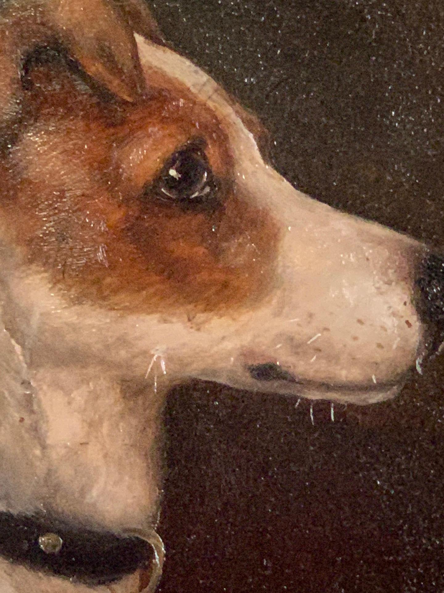 Wonderful head portrait of a Jack Russell dog  

Edward Aistrop was a painter of dog portraits who worked in the latter part of the 19th century. He was amongst a band of artists who fulfilled the demand of wealthy patrons by providing a record of