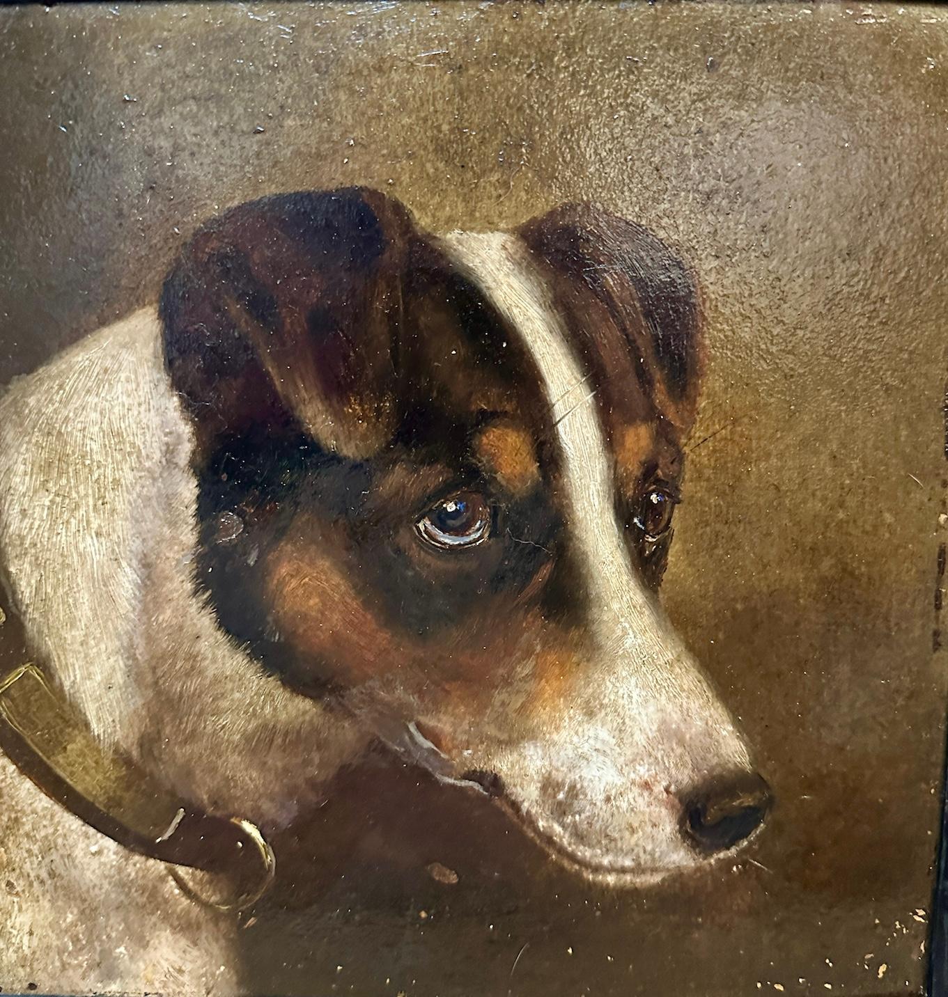 il cane di un cartone del 1955