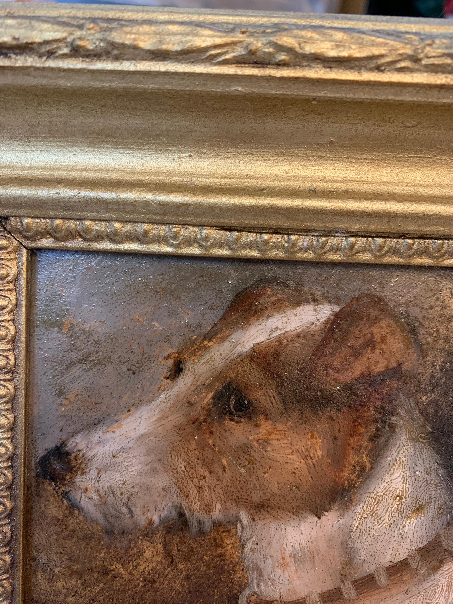 Antico ritratto ad olio inglese vittoriano di un cane Jack Russell - Portrait Painting Marrone di Edward Aistrop