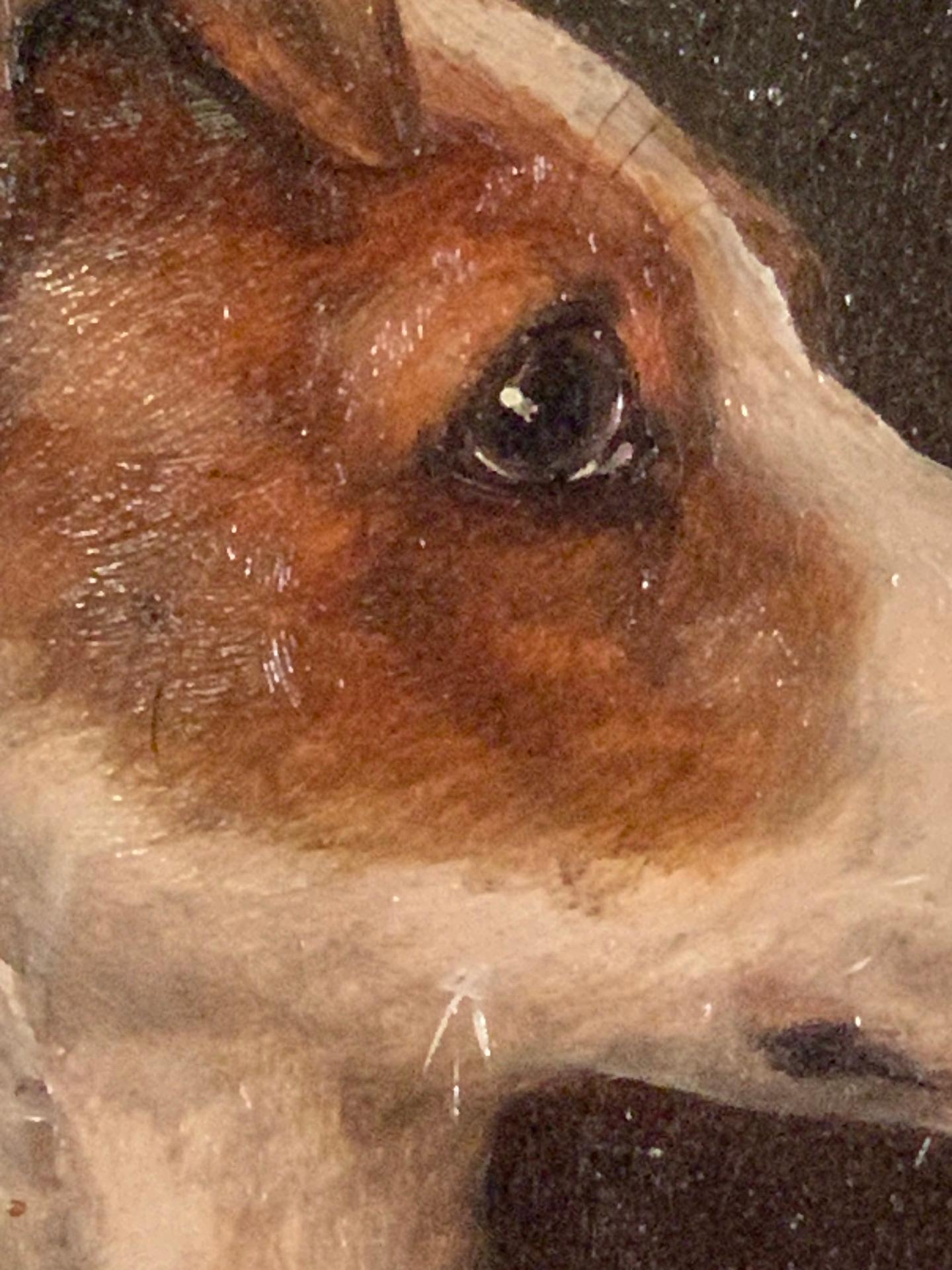 Antique Victorian English oil portrait of a Jack Russell dog 1