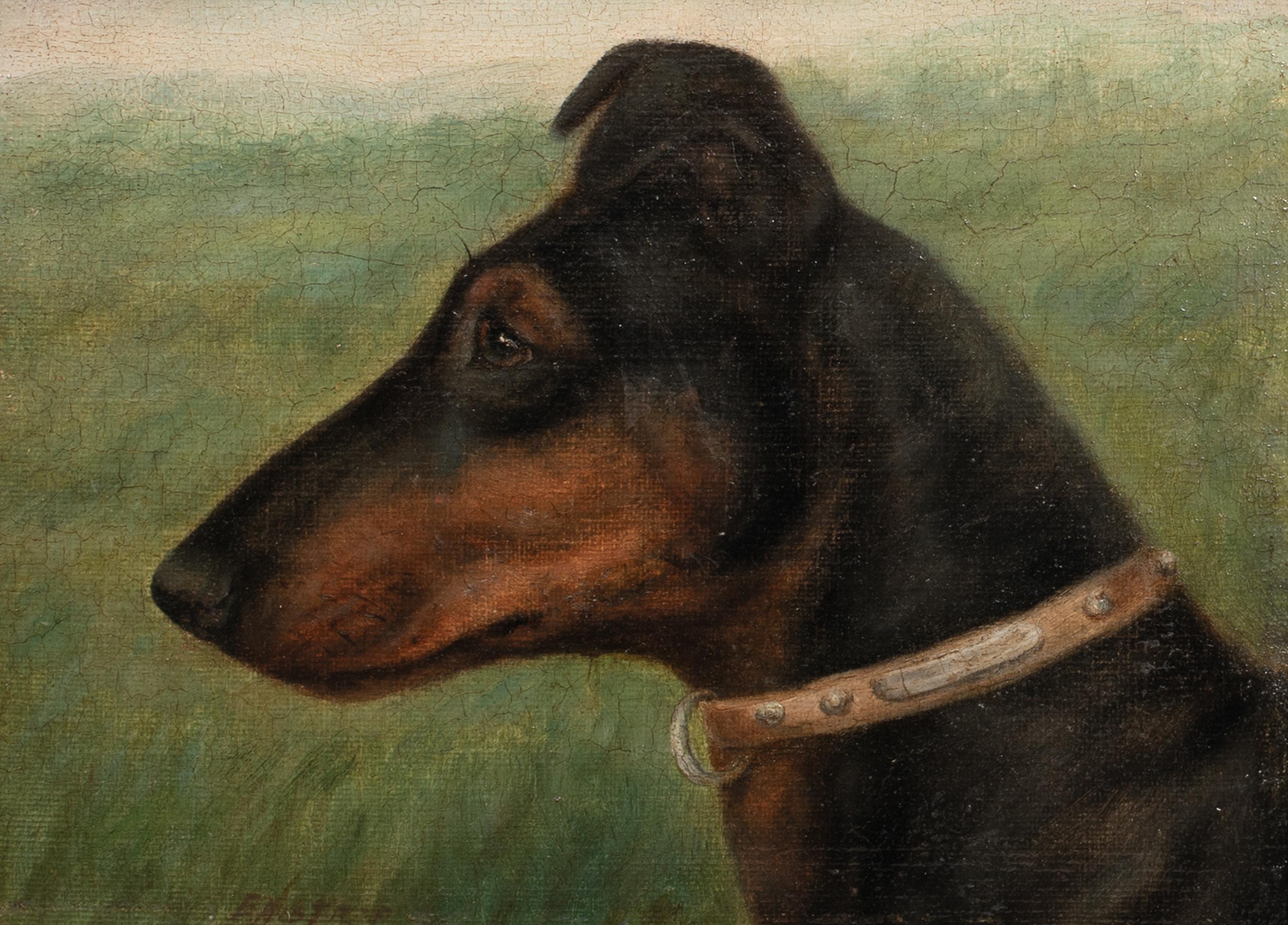 Portrait Of A German Pinscher, 19th Century

EDWARD AISTROP (1880-1920)

Circa 1900 portrait of the head of a German Pinscher, oil on board by Edward Airstrip. Important early depiction of the breed capturing the side profile of the dog with a field