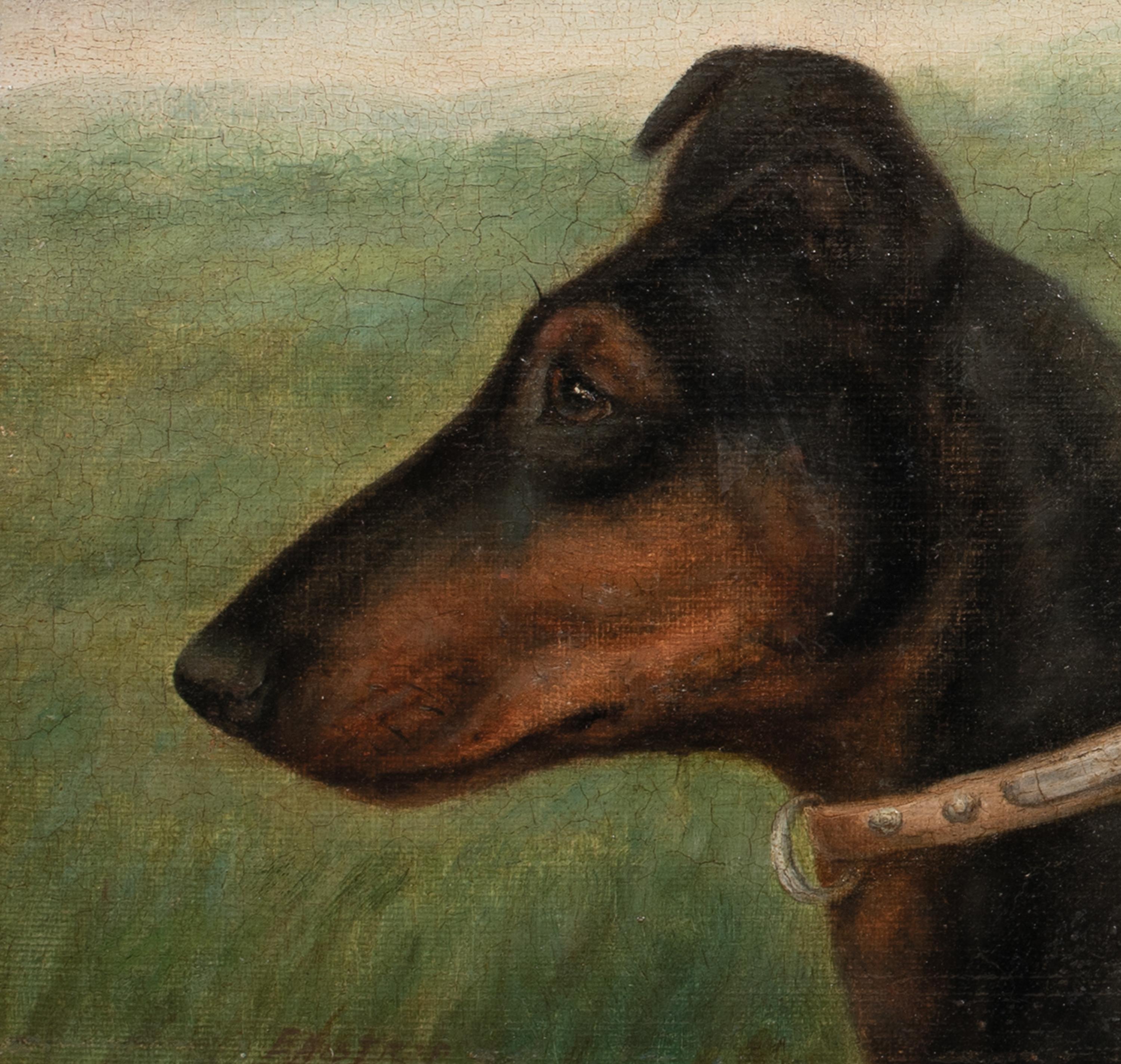 Portrait Of A German Pinscher, 19th Century  EDWARD AISTROP (1880-1920)  Circa 1 For Sale 2