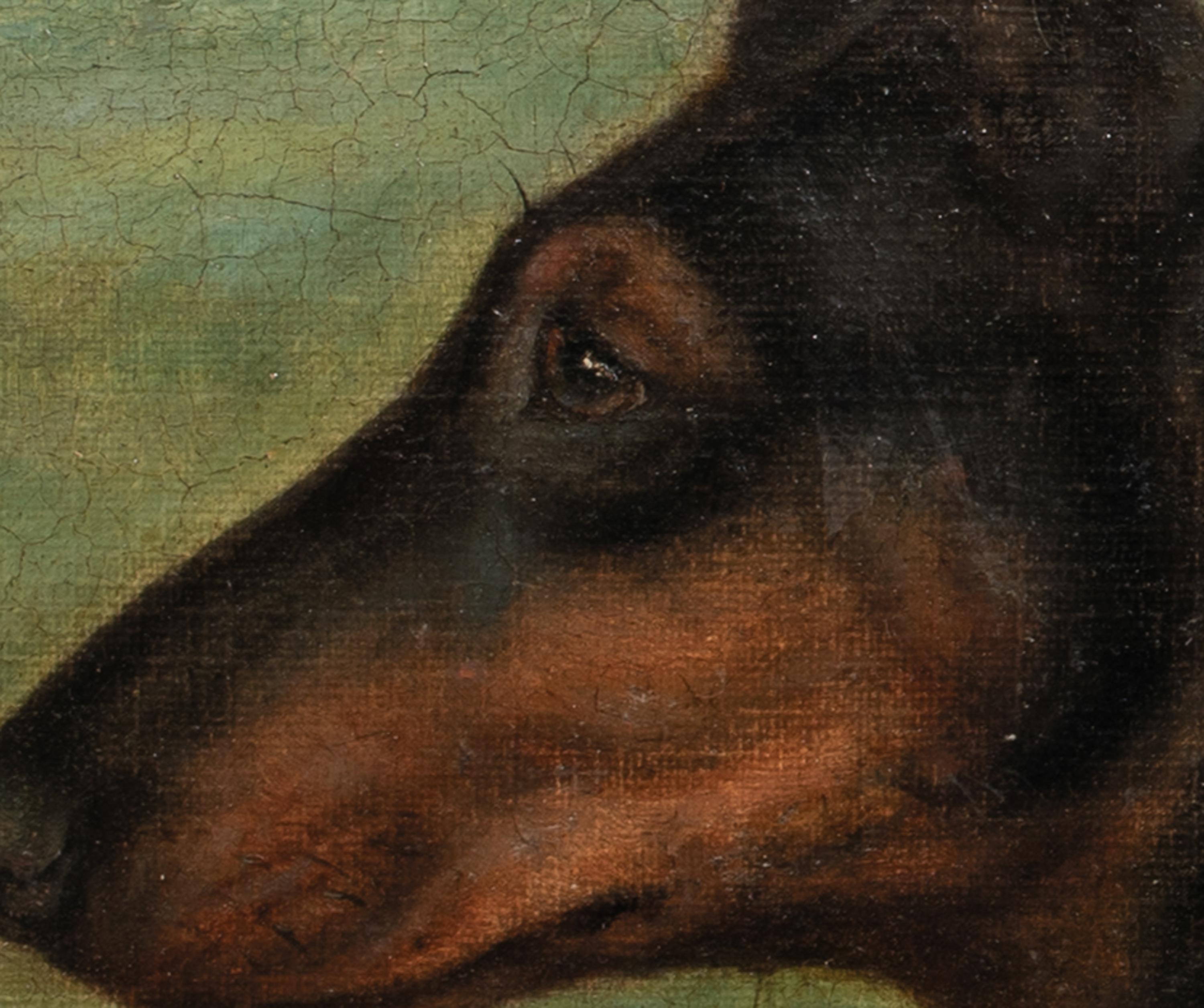 Portrait d'un pinscher allemand, 19e siècle  EDWARD AISTROP (1880-1920)  CIRCA en vente 3