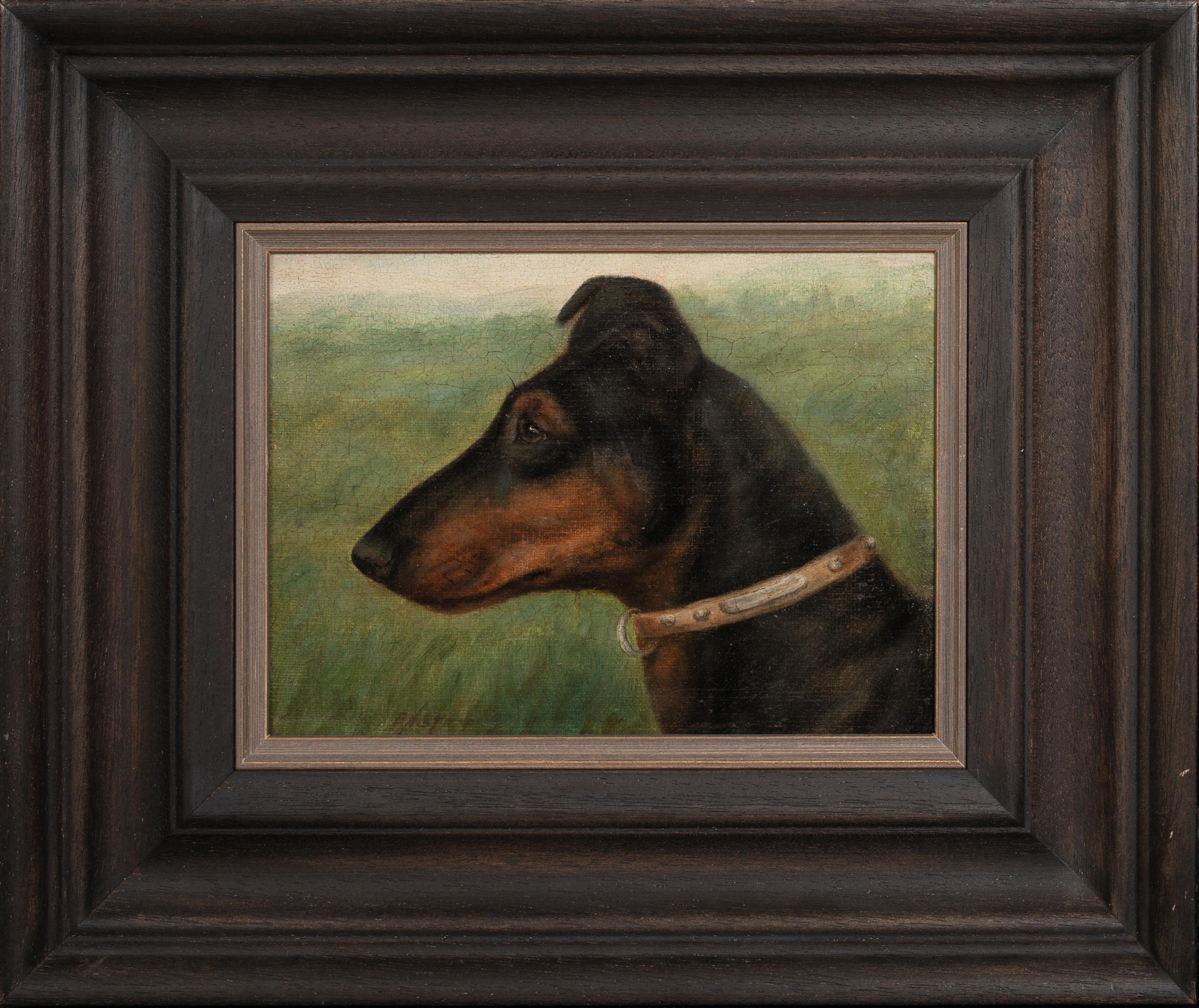 Portrait Of A German Pinscher, 19th Century EDWARD AISTROP (1880-1920) Circa 1