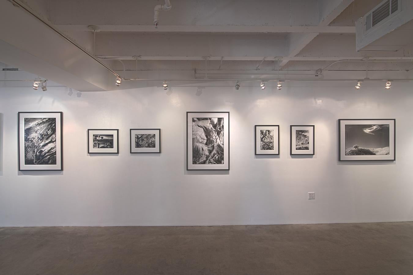 „“Colorado““ – Schwarz-Weiß-Landschaftsfotografie der Berge und des Flusses – Photograph von Edward Alfano