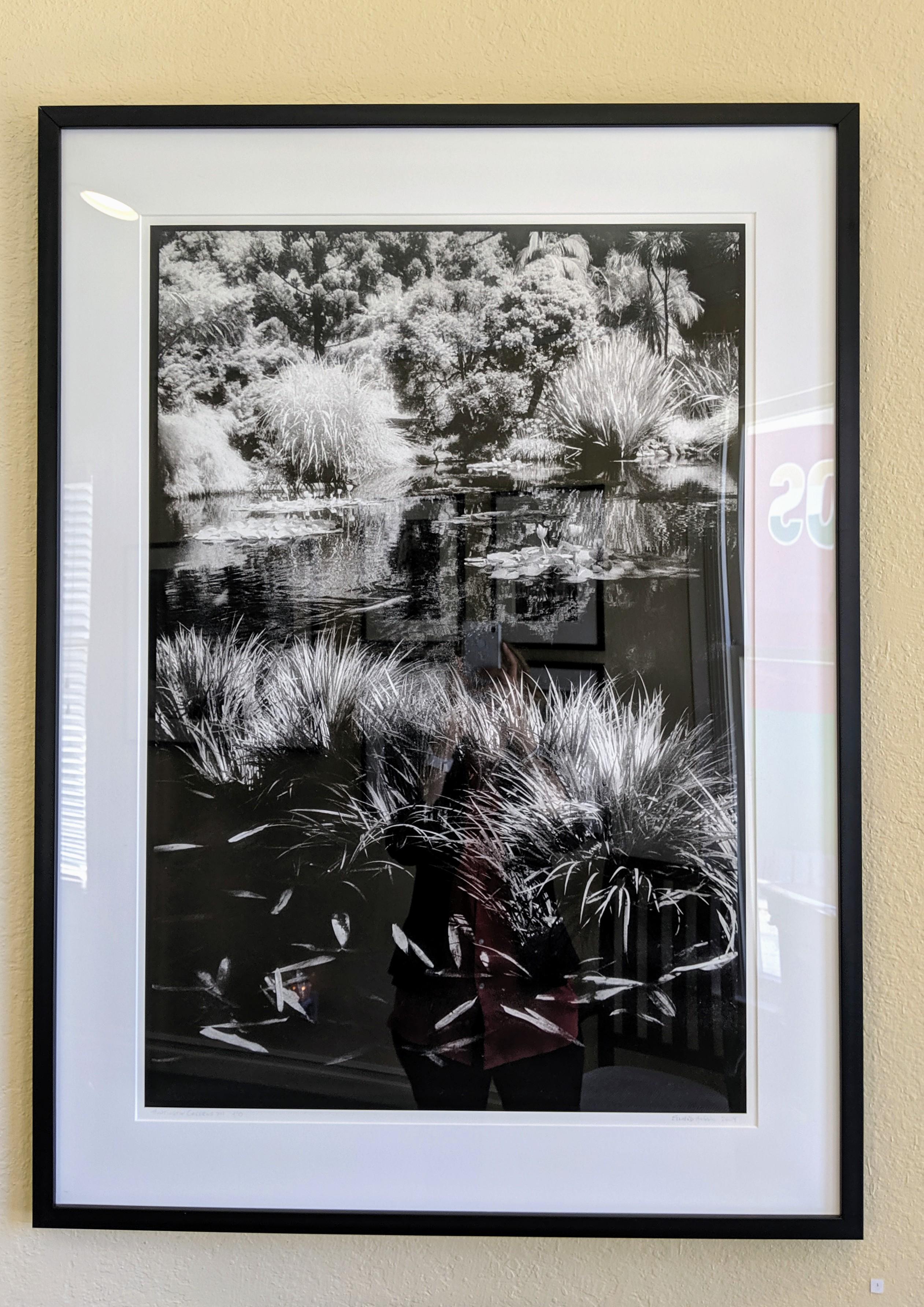 Huntington Gardens XII - Zeitgenössische Landschaftsfotografie von Teich und Pflanzen (Schwarz), Black and White Photograph, von Edward Alfano