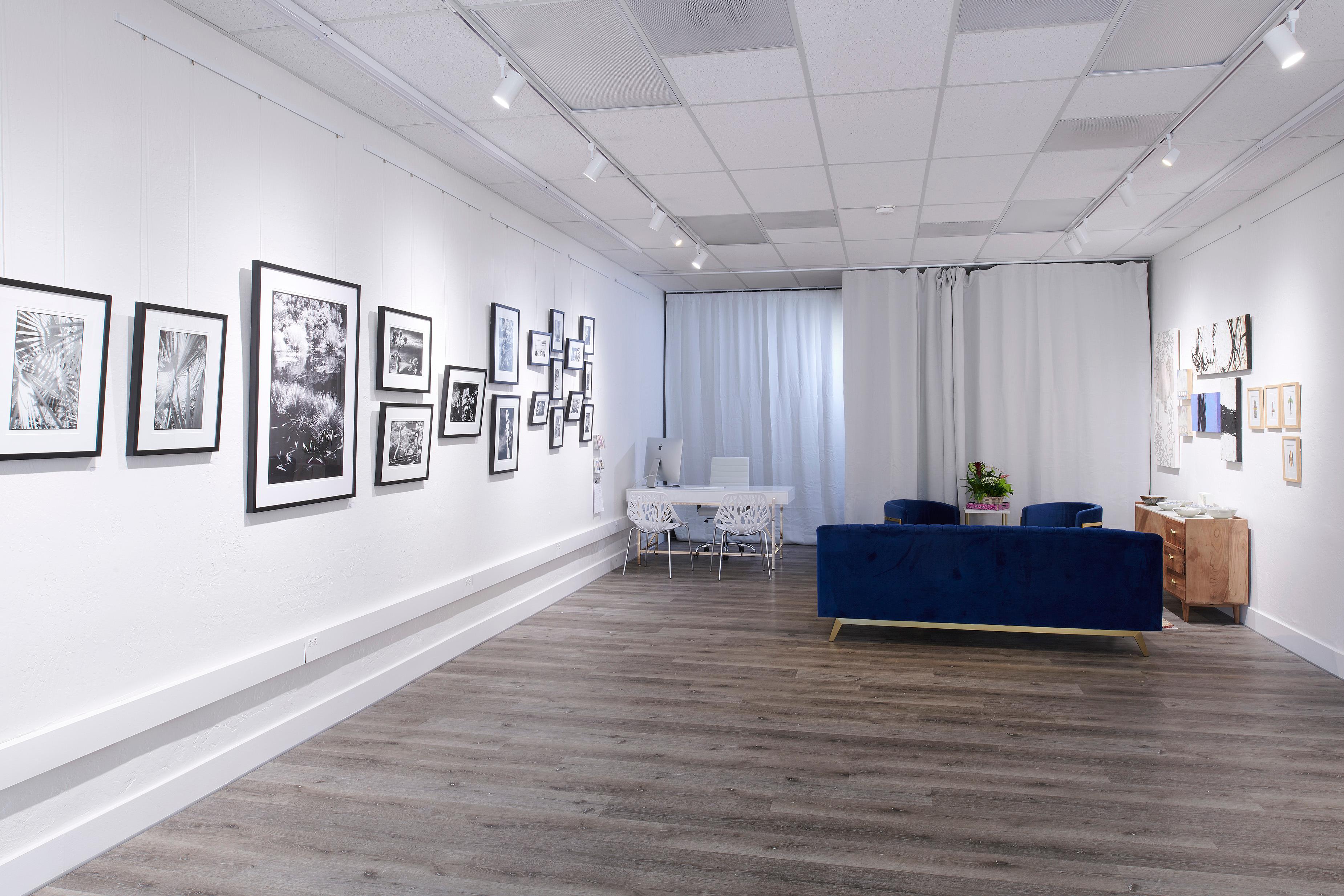 Huntington Gardens XLVI - Black and White Photography of Palms and Plants For Sale 3