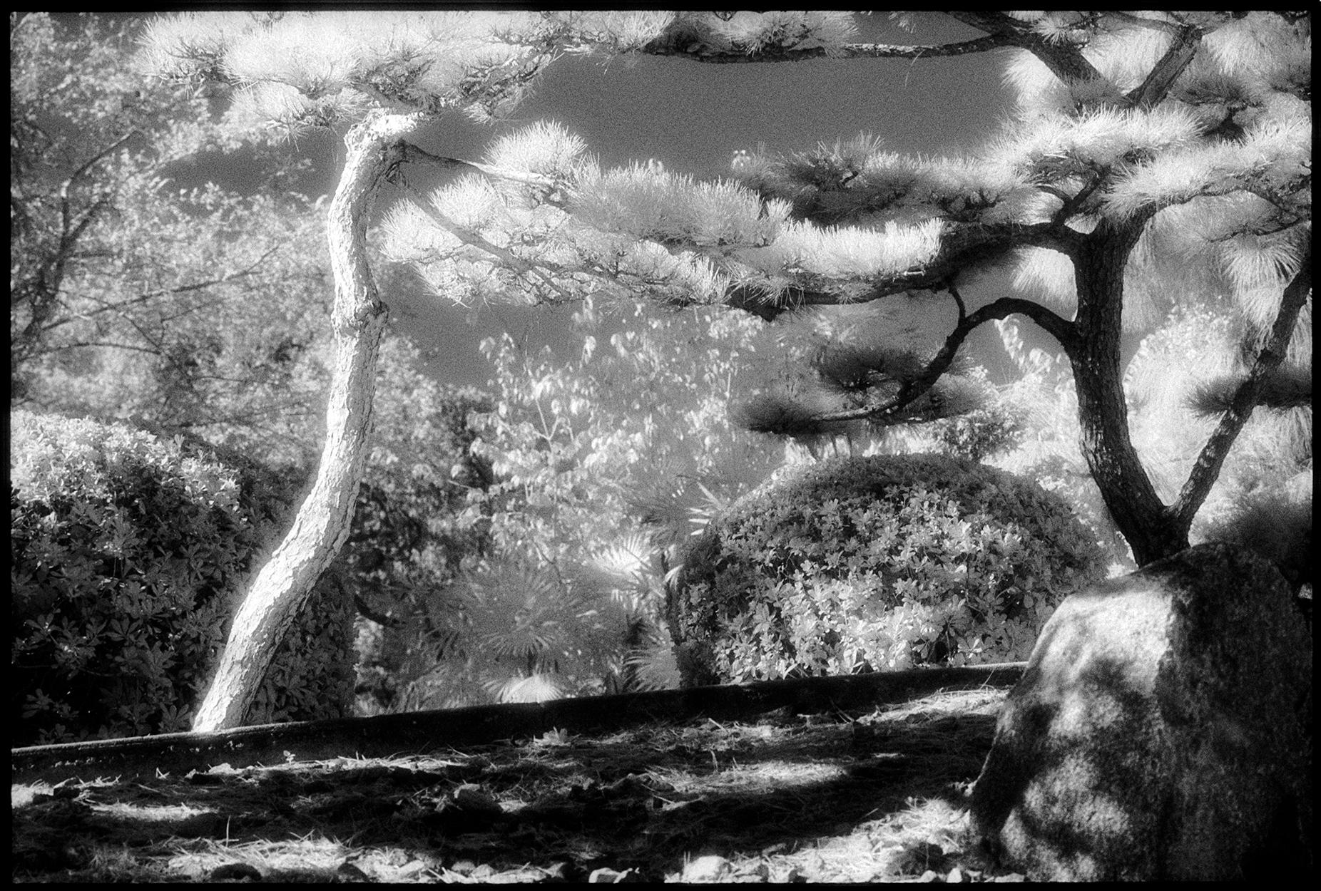 What is the meaning of black and white photography?
