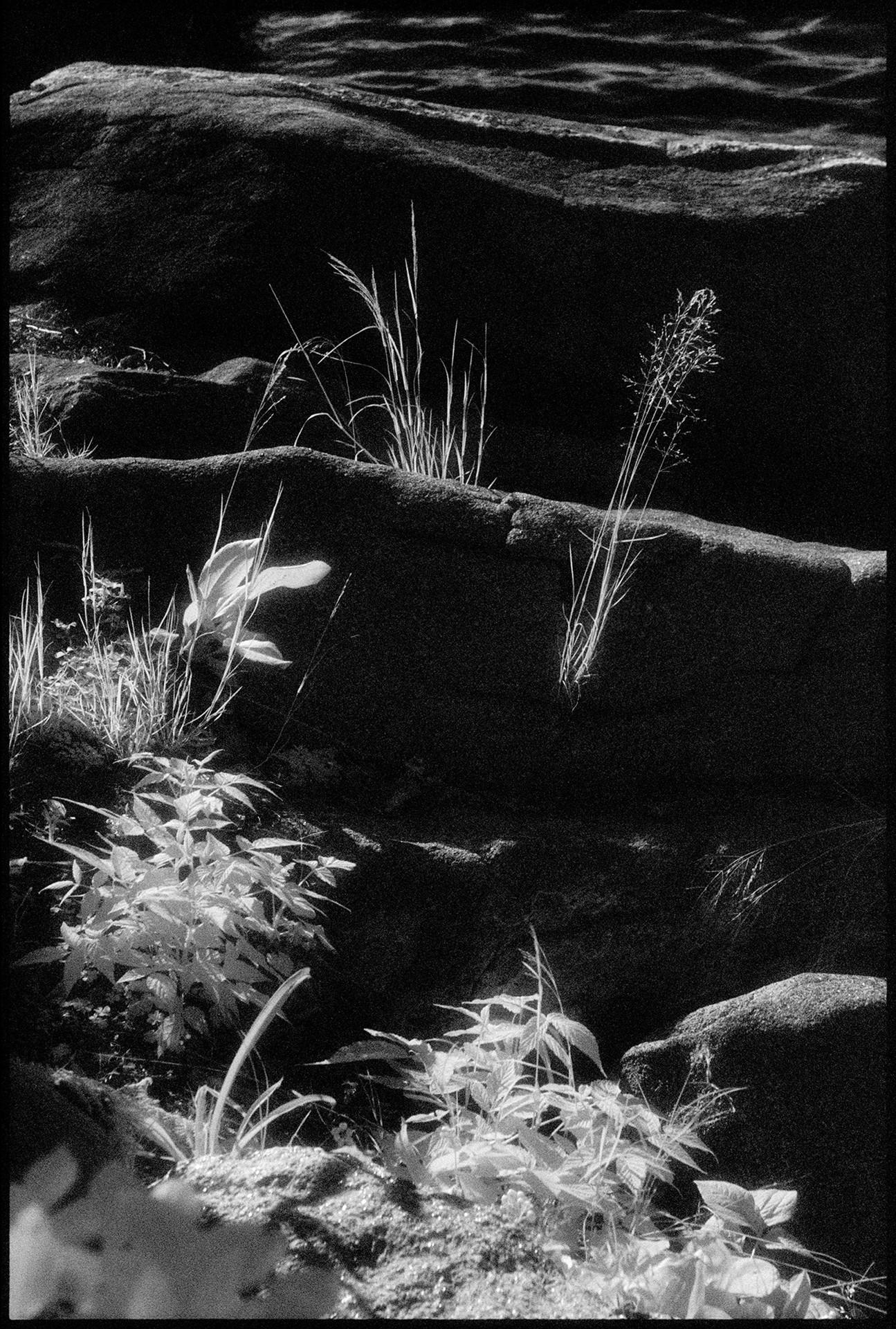 Edward Alfano Black and White Photograph - Lake Sunapee, NH - Contemporary Pigment Print of a Lakeside Landscape