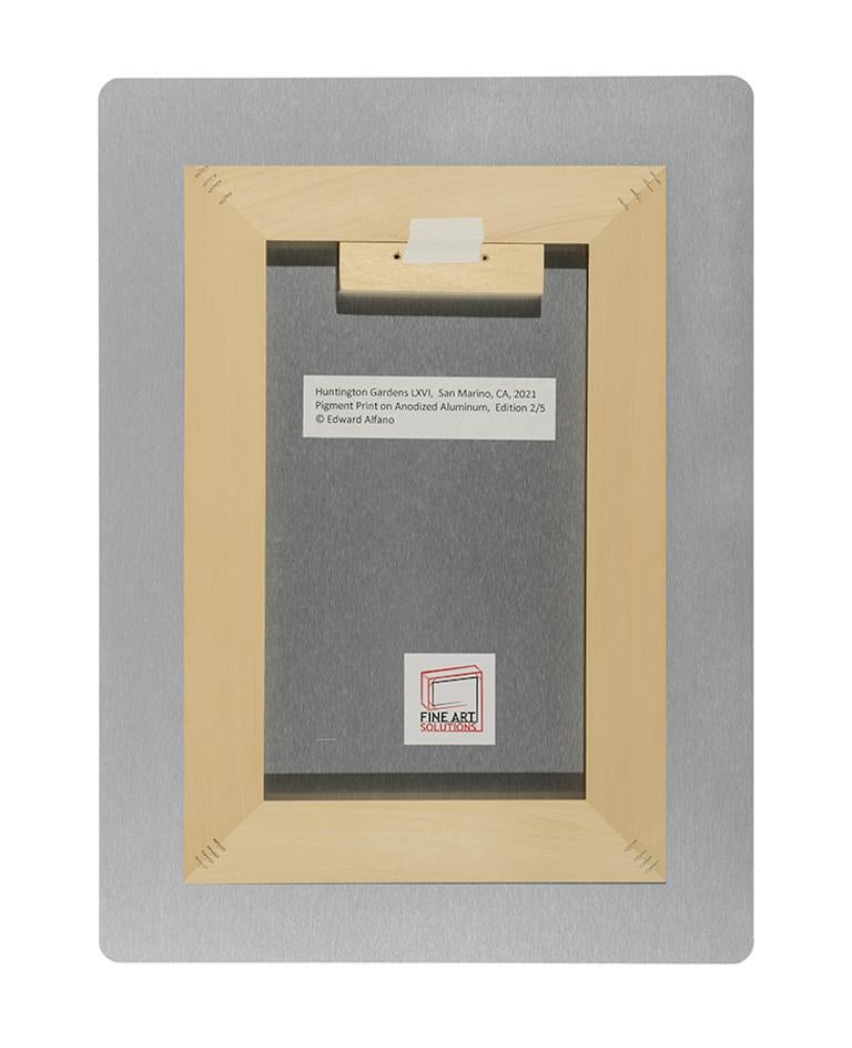 Lucy Vincent Beach I &amp; II Diptyque, Chilmark, MA - Impression pigmentaire contemporaine - Noir Landscape Photograph par Edward Alfano