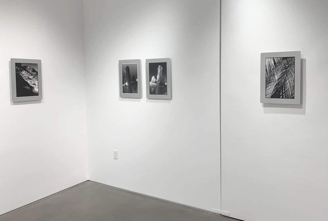 Dimensions du support en aluminium : (individuellement) 14,5