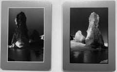 Lucy Vincent Beach I & II Diptych, Chilmark, MA - Contemporary Pigment Print