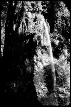 Multnomah Falls I - Contemporary Photograph of Oregon National Park (Black+White
