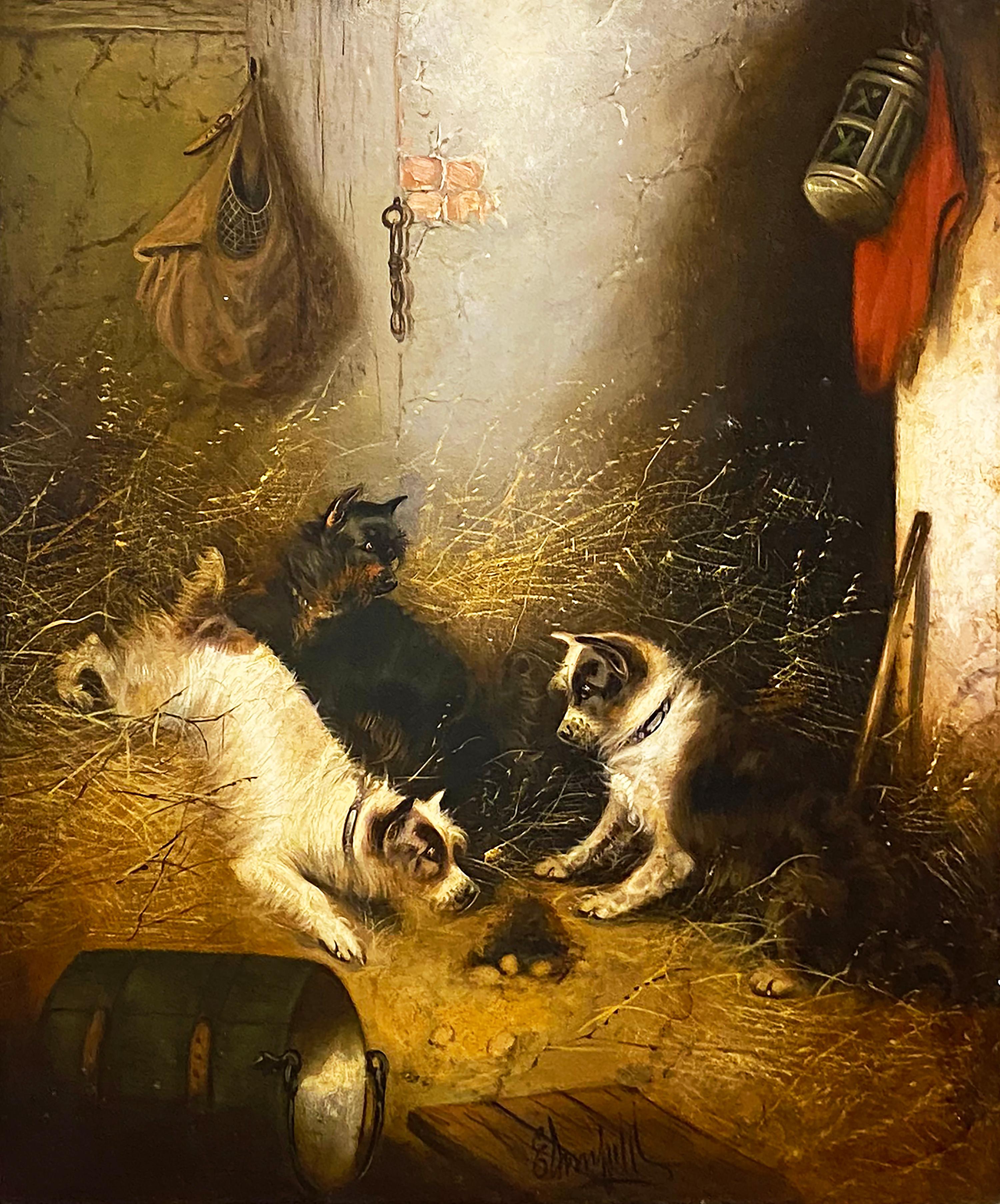 Edward Armfield Animal Painting - A Bustle in the Barn