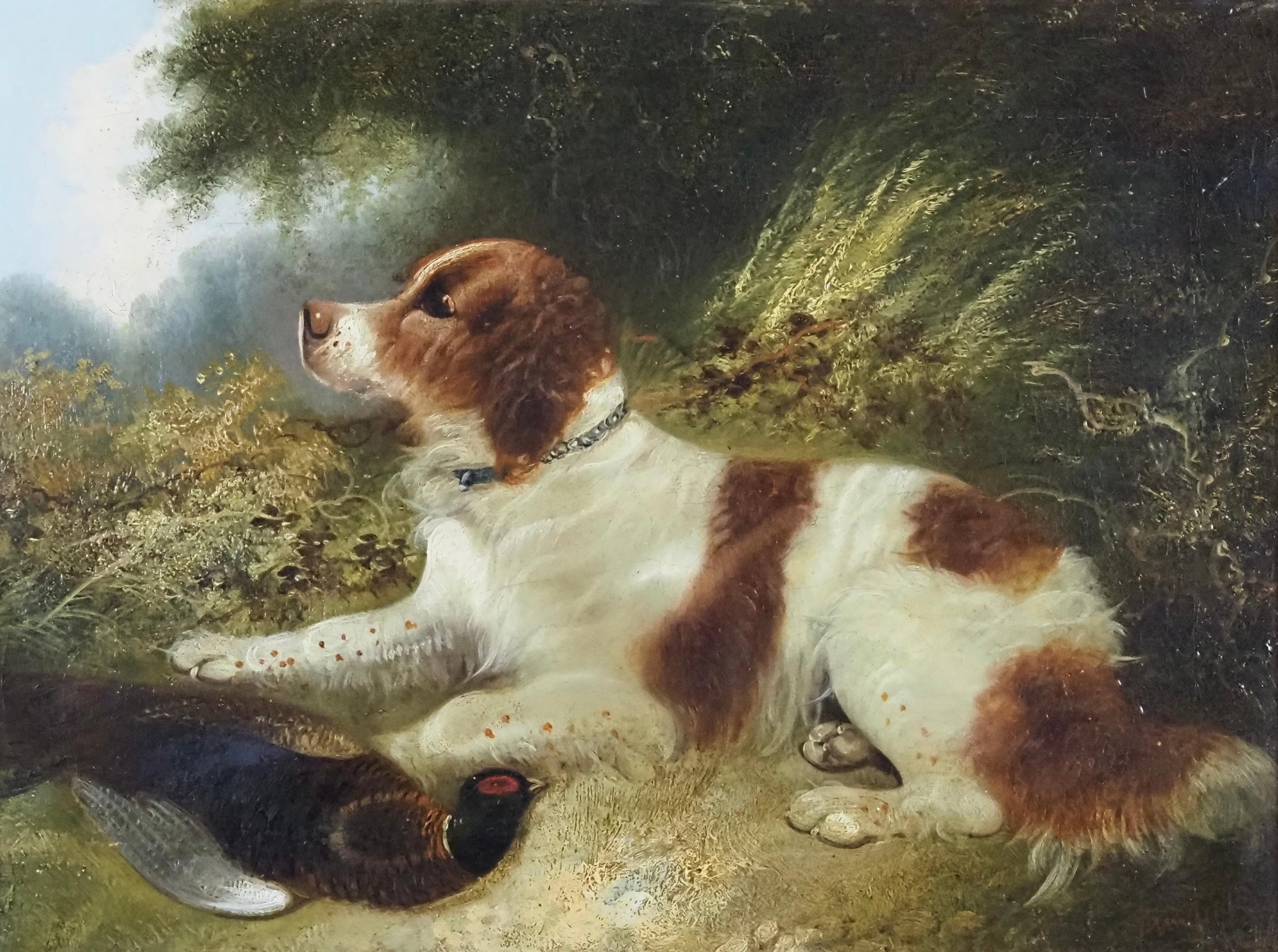 A Spaniel in a landscape, with a pheasant - Painting by Edward Armfield