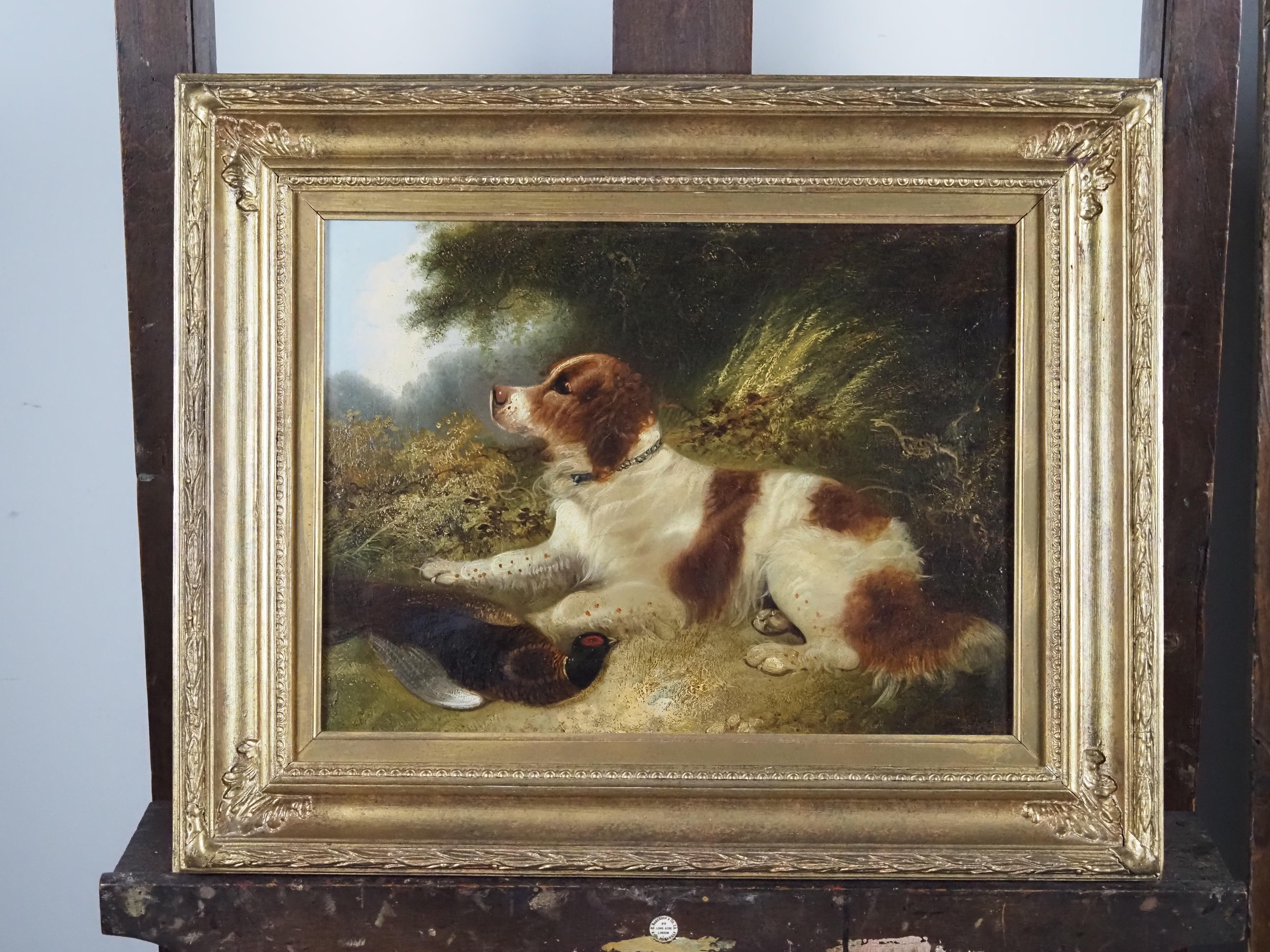A Spaniel in a landscape, with a pheasant 1
