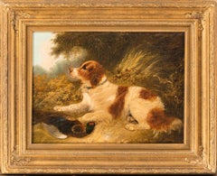 A Spaniel in a landscape, with a pheasant