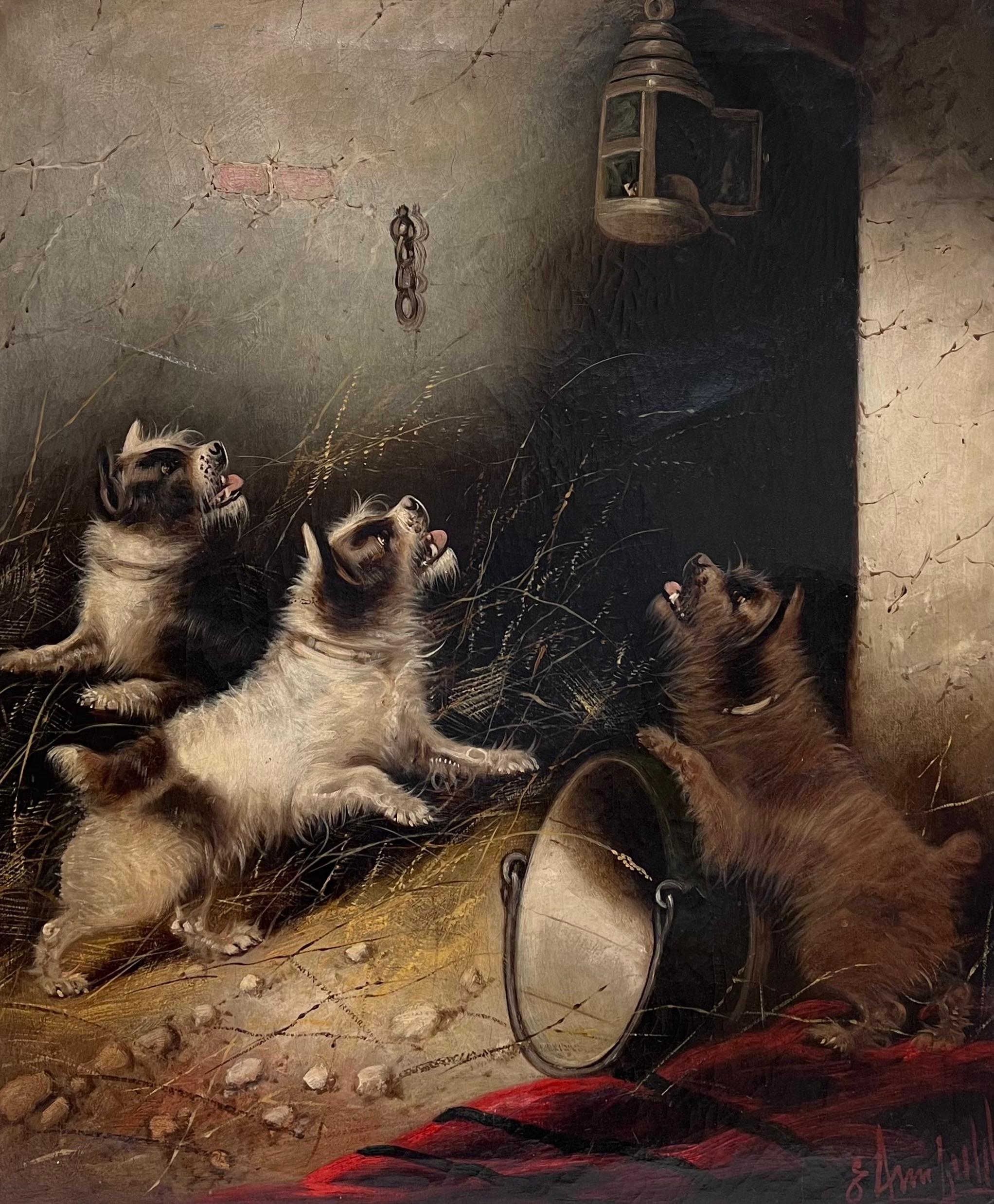 Huge Victorian Dog Oil Painting Terriers in Barn Chasing Mouse in Cage Signed - Brown Interior Painting by Edward Armfield