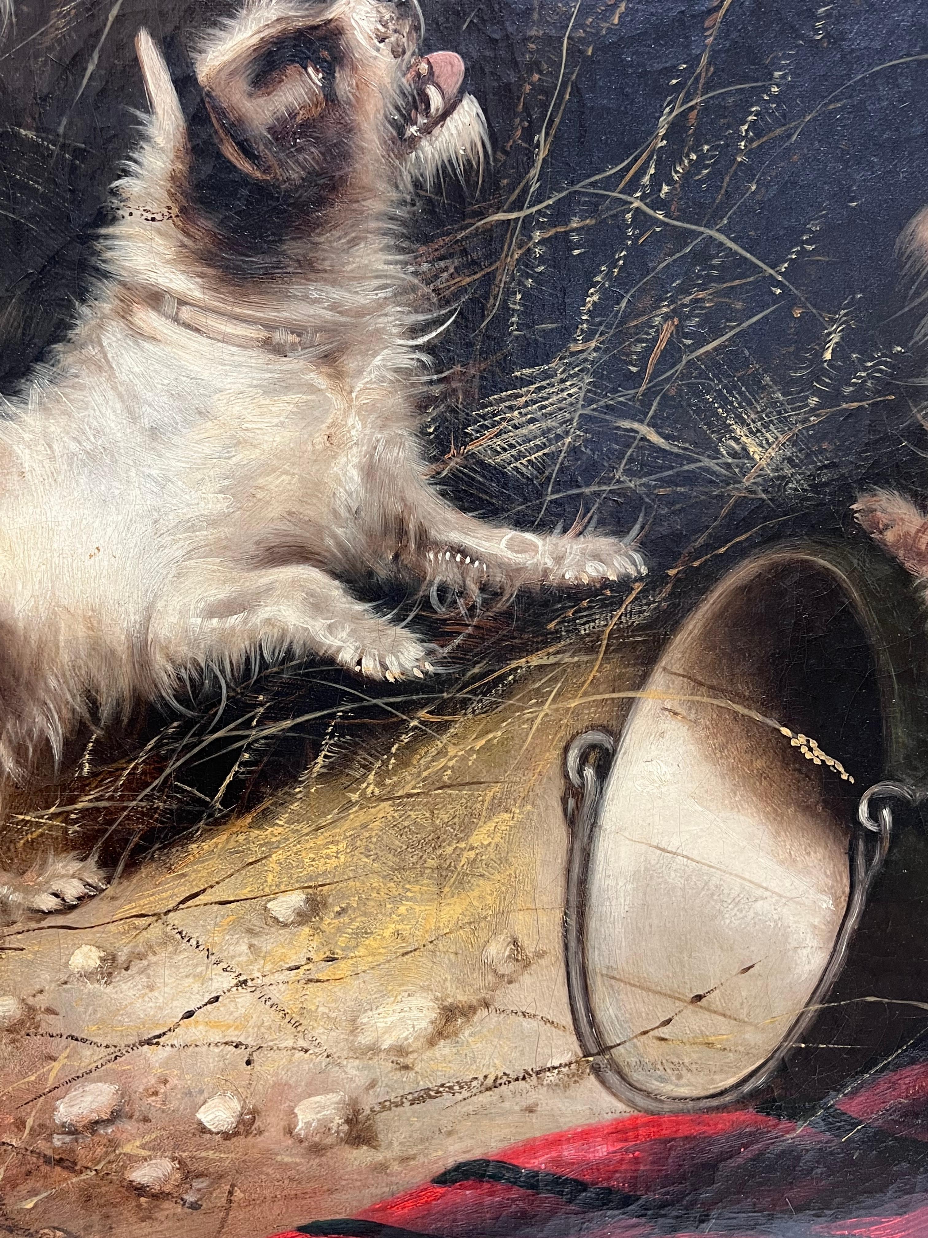 The Rat Catchers!
by Edward Armfield (British 1817-1896))
oil on canvas, framed
framed: 35.5 x 30.5 inches
canvas: 30 x 25 inches
Provenance: private collection, England
Condition: overall very good condition.

Edward Armfield was a popular 19th