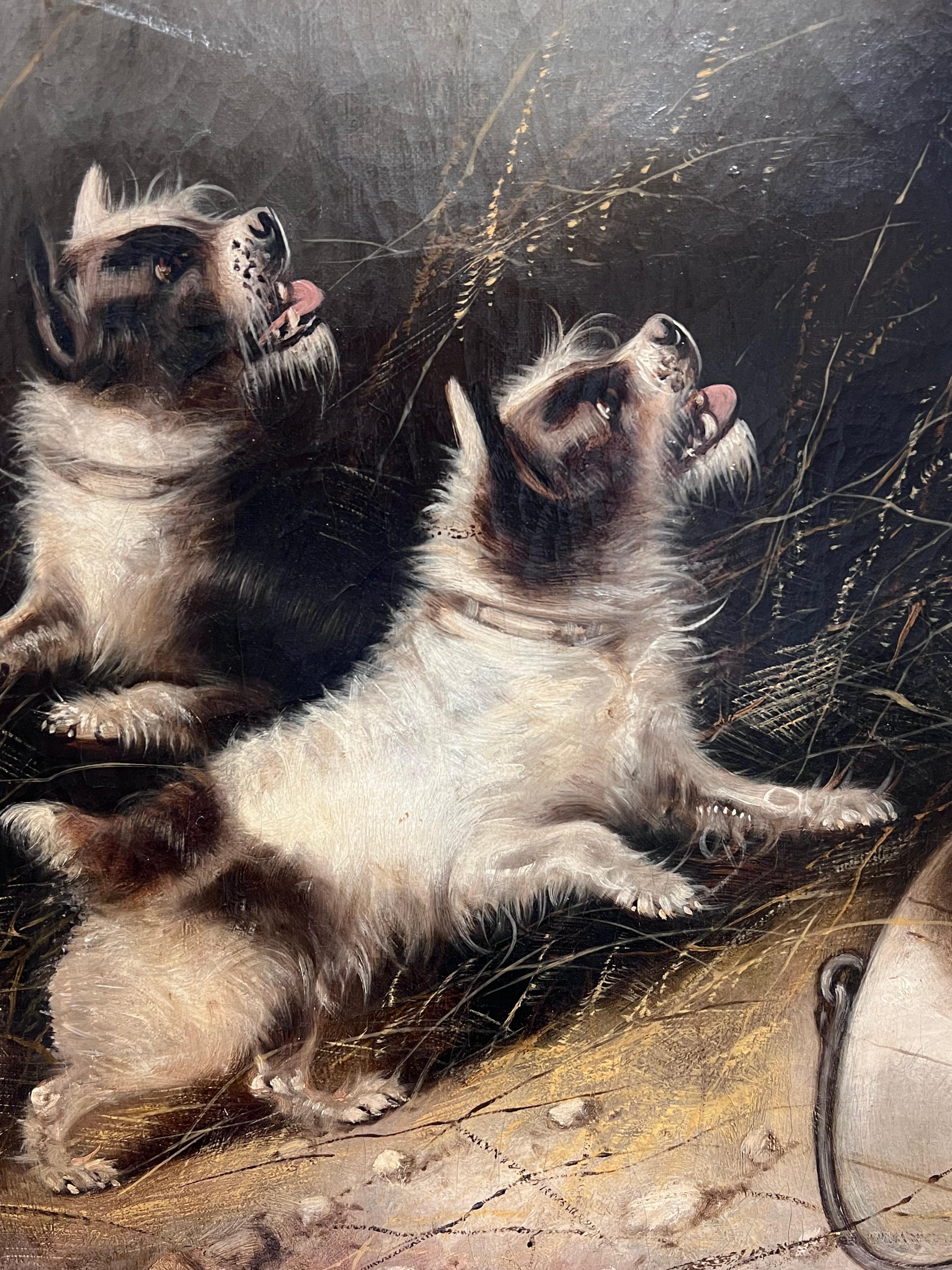 Huge Victorian Dog Oil Painting Terriers in Barn Chasing Mouse in Cage Signed For Sale 2