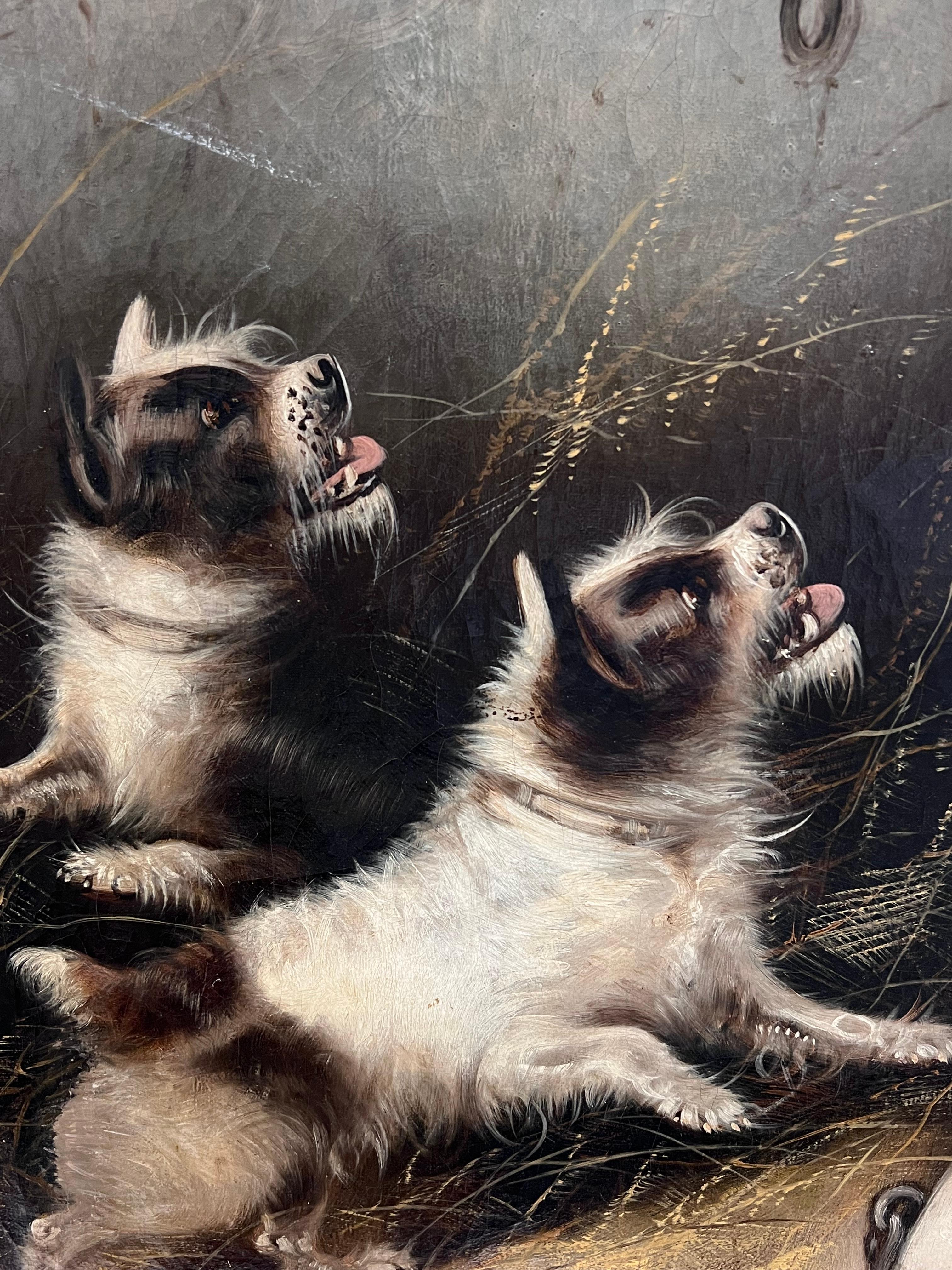 Huge Victorian Dog Oil Painting Terriers in Barn Chasing Mouse in Cage Signed For Sale 4