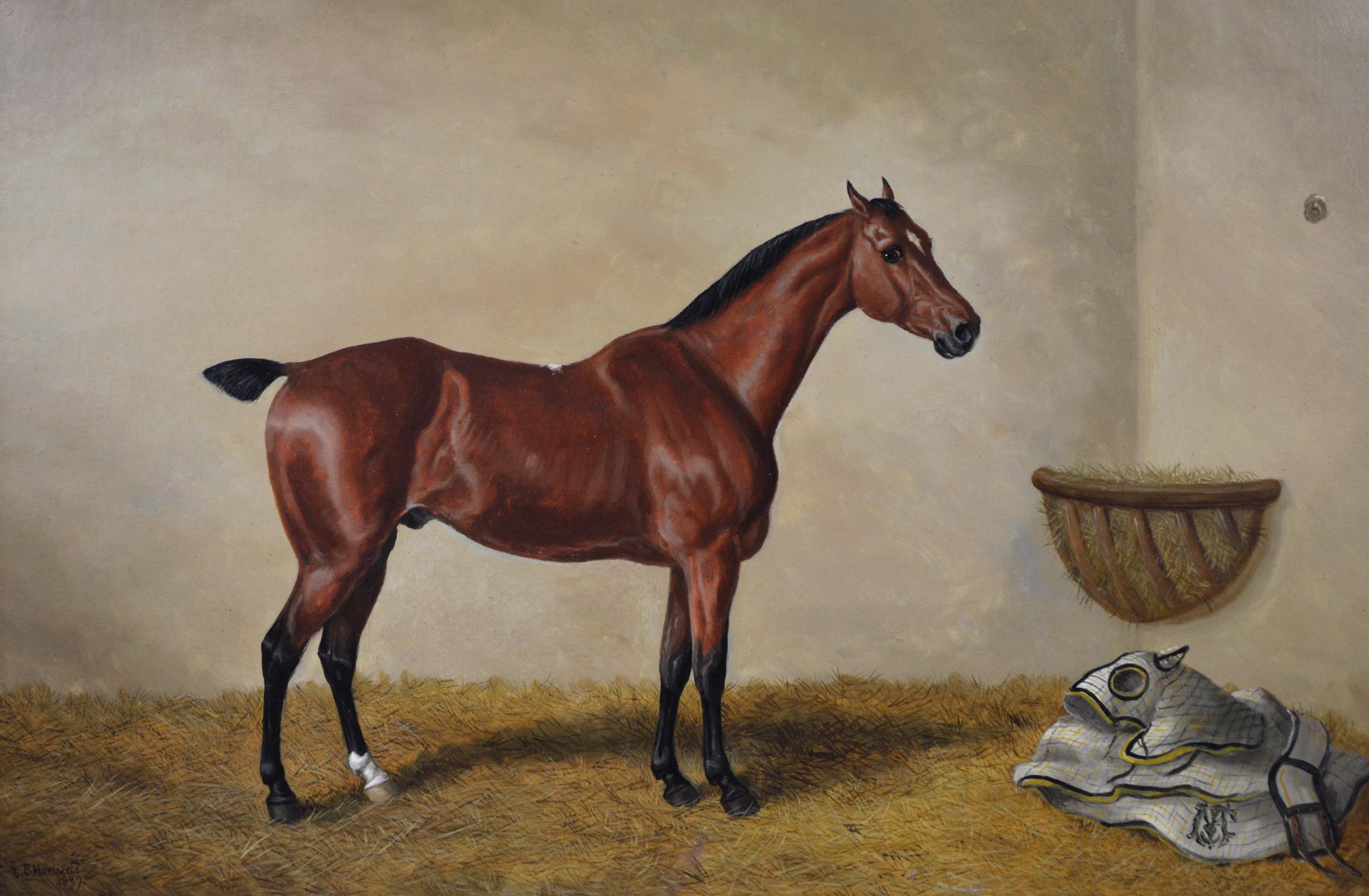 19th Century sporting horse portrait oil painting of a bay hunter  - Painting by Edward Benjamin Herberte
