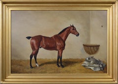 19th Century sporting horse portrait oil painting of a bay hunter 