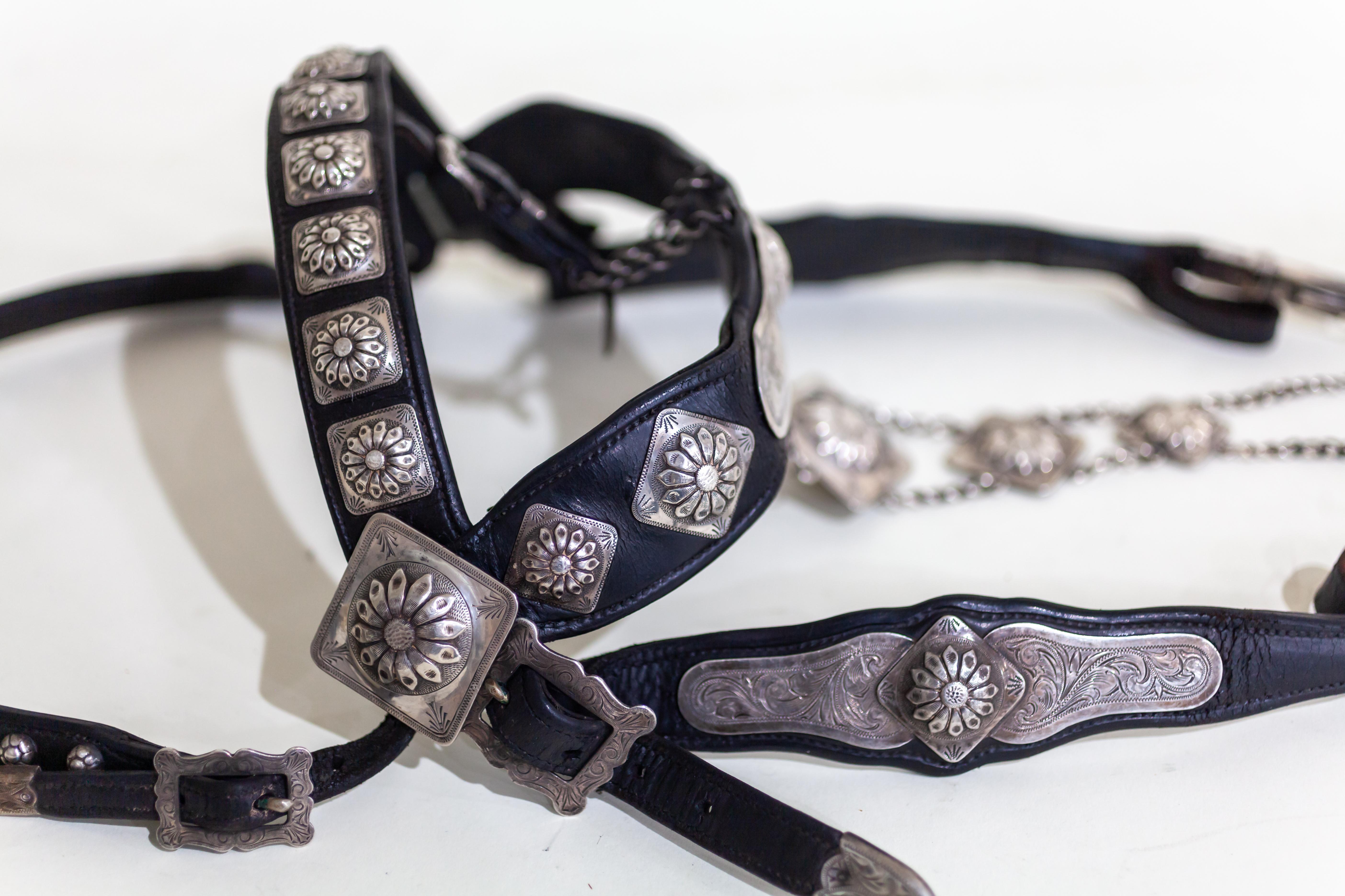 Edward Bohlin Sterling Silver and Stainless Leather Parade Headstall and Bit 5