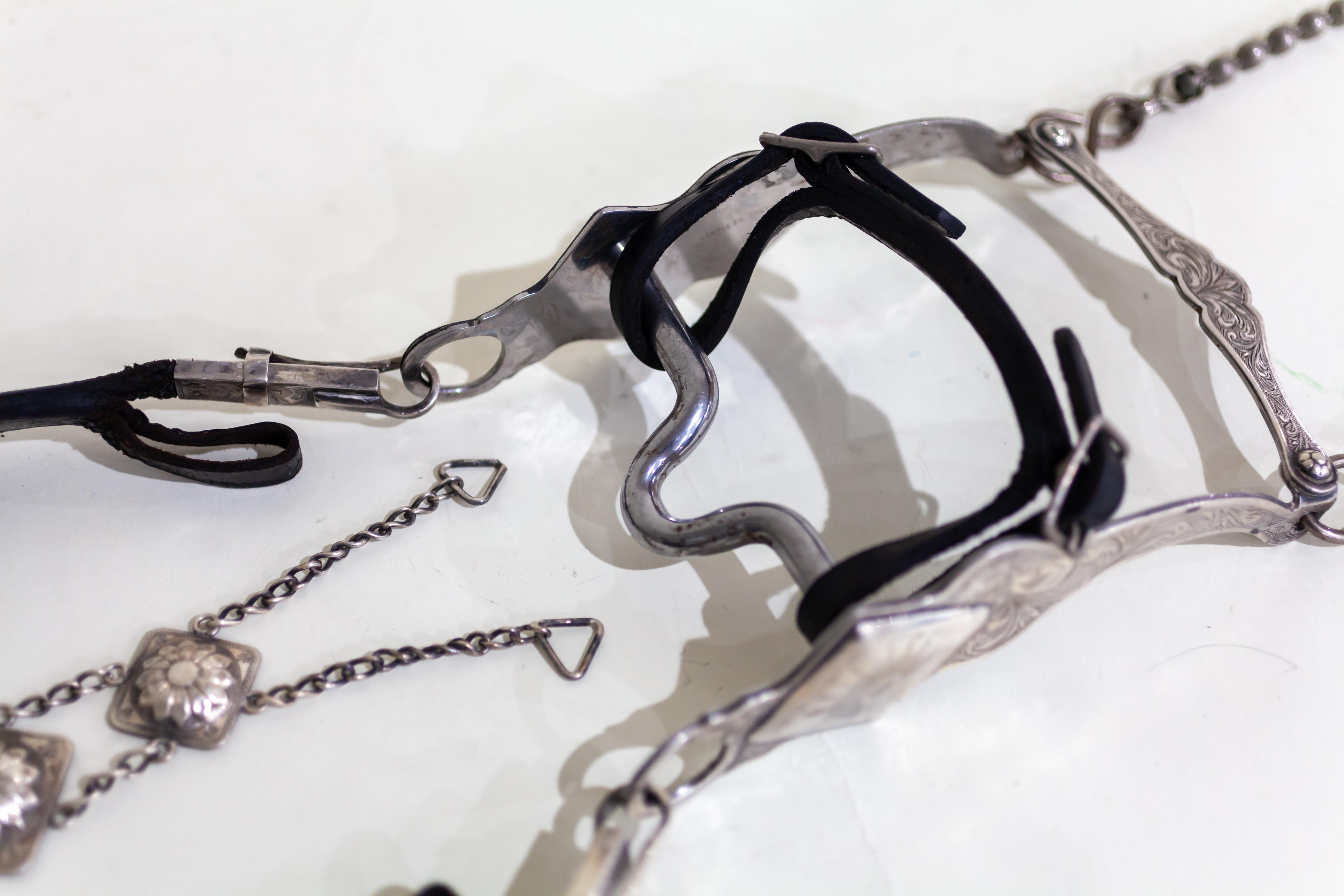 Edward Bohlin Sterling Silver and Stainless Leather Parade Headstall and Bit 6