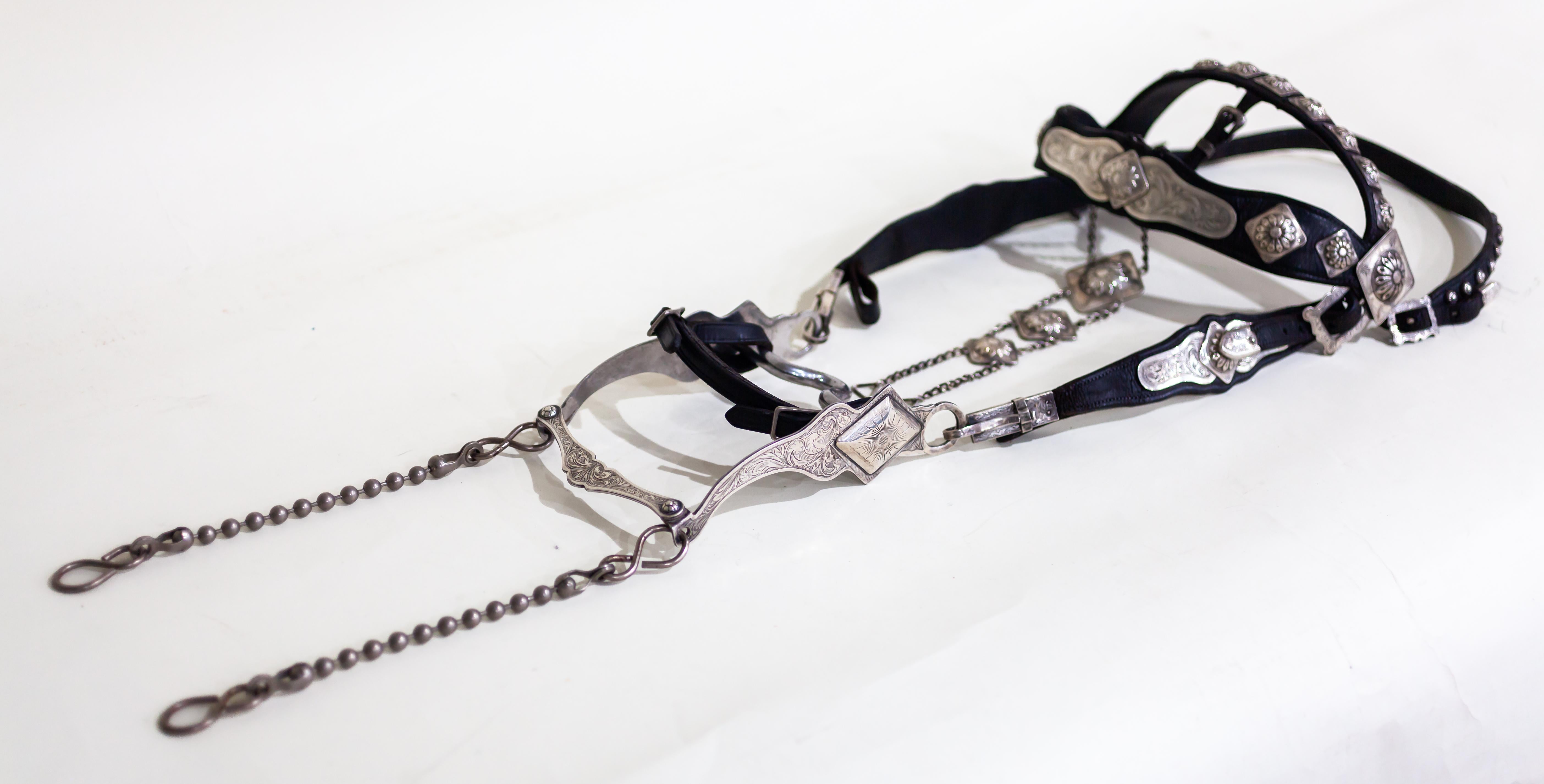 Gorgeous Leather and Silver Parade Headstall by Renowned Silversmith Edward Bohlin
Features Sterling Silver Repousse Conchos and Etched Details on Leather Headstall
Bit and Headstall Included, no Reins (Does Include Rein Attachments)
Headstall is in
