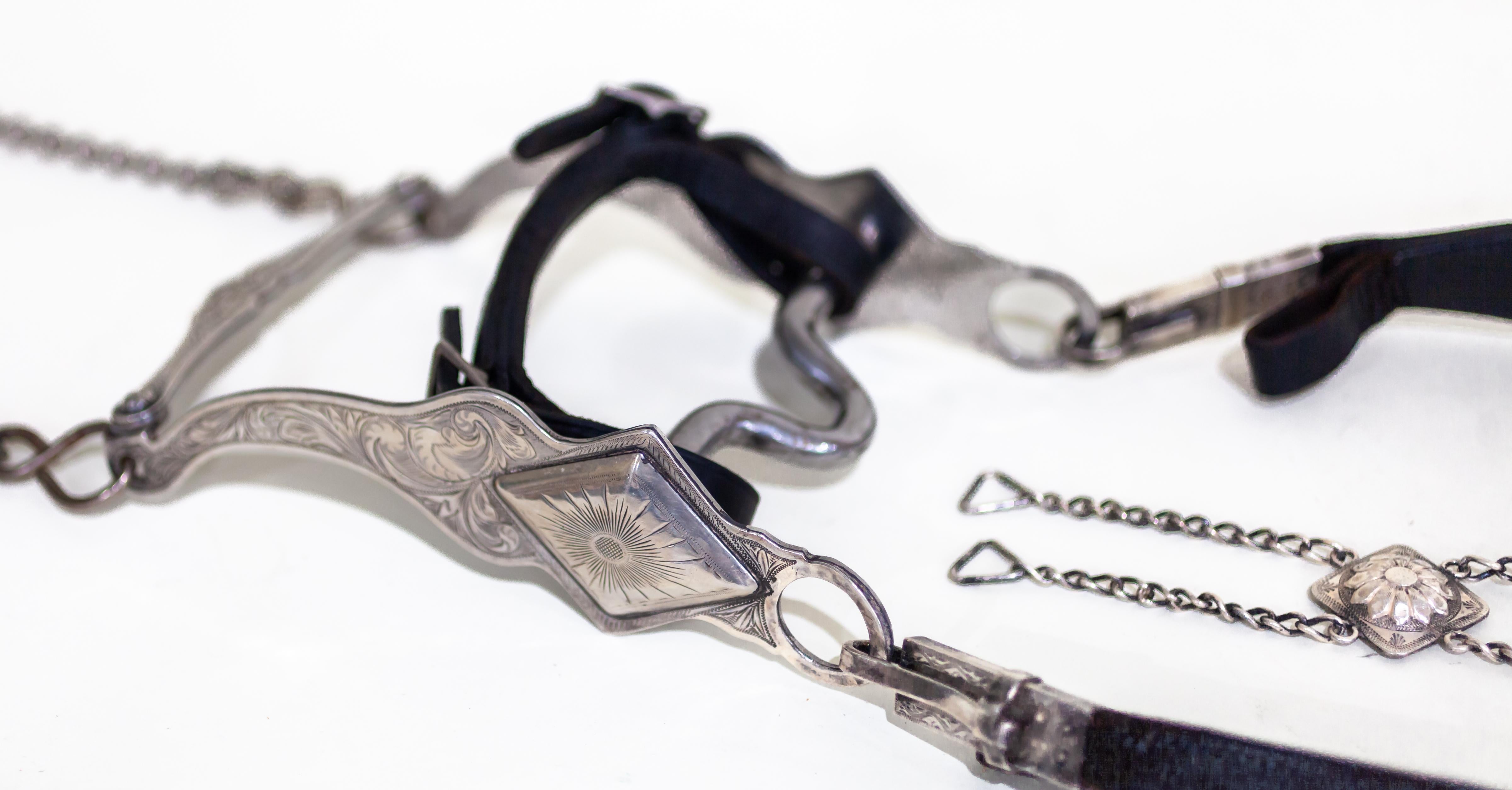 Edward Bohlin Sterling Silver and Stainless Leather Parade Headstall and Bit In Good Condition In Sherman Oaks, CA