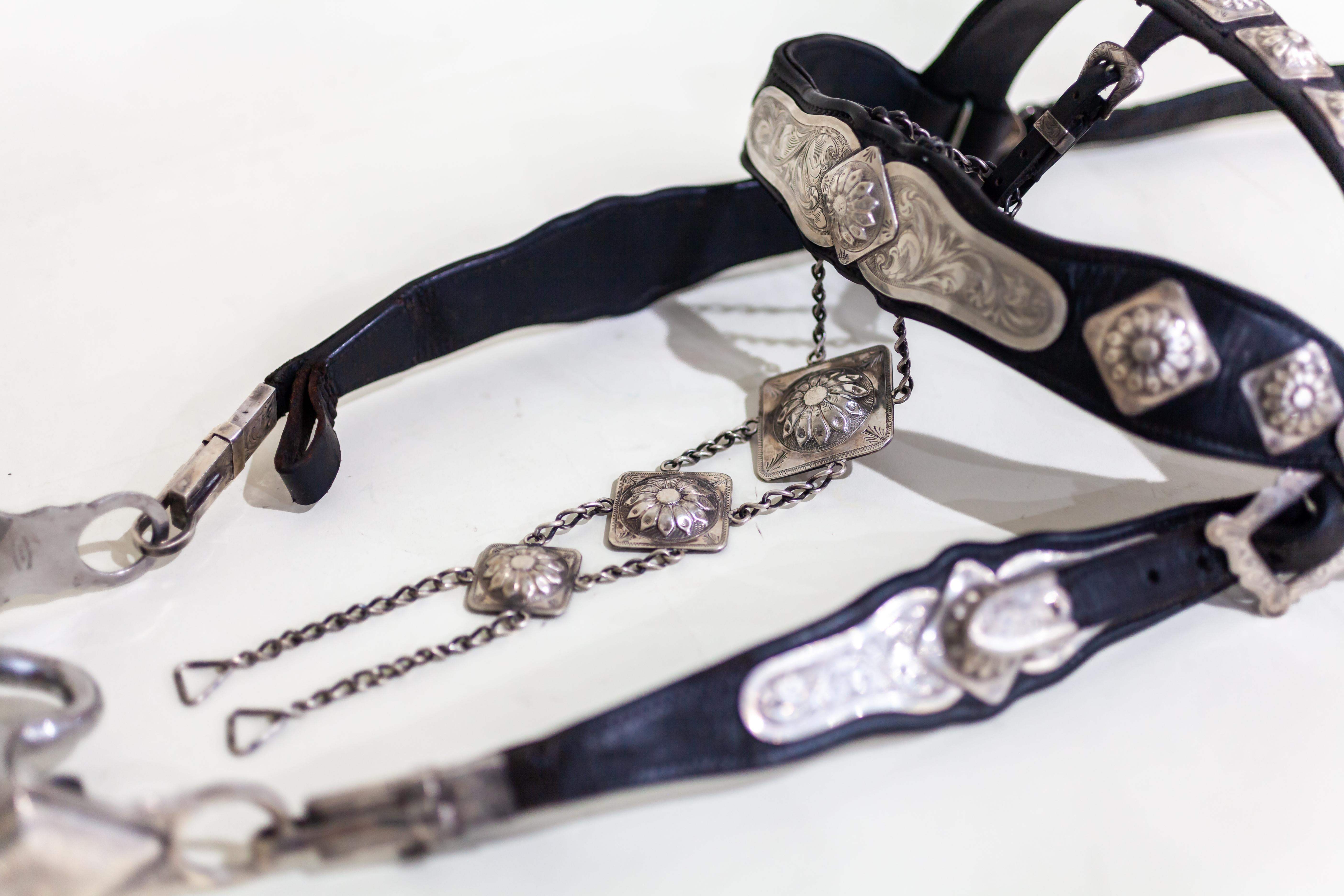 Women's or Men's Edward Bohlin Sterling Silver and Stainless Leather Parade Headstall and Bit